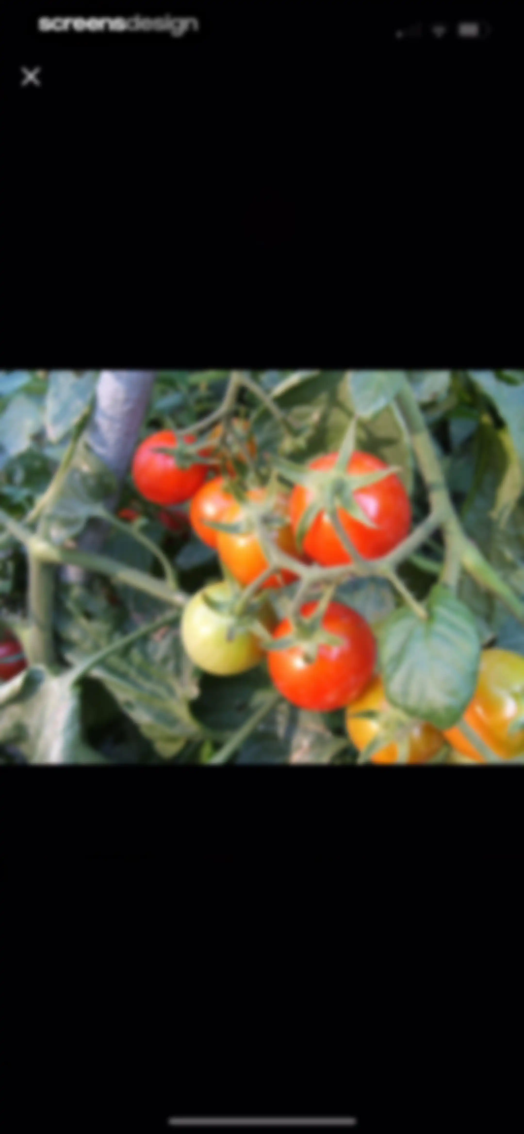 Identify My Plant Now screen 10