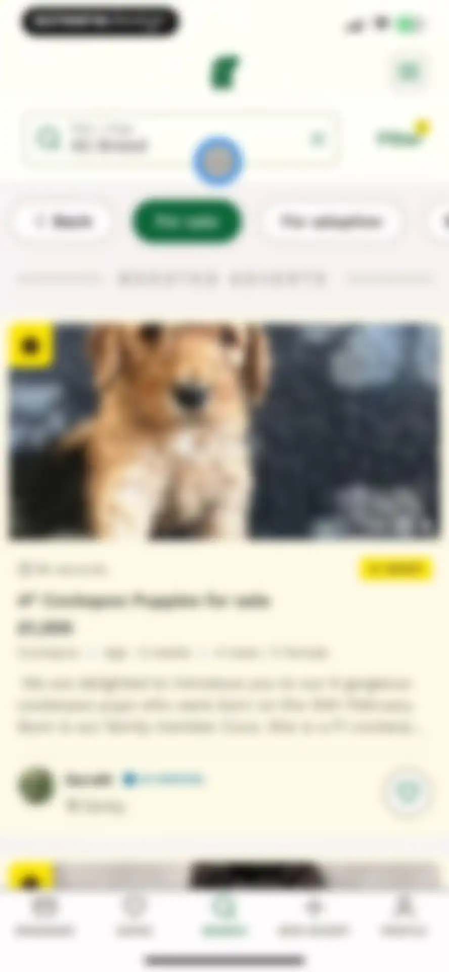 Pets4Homes: Dogs, Cats, Pets screen 24