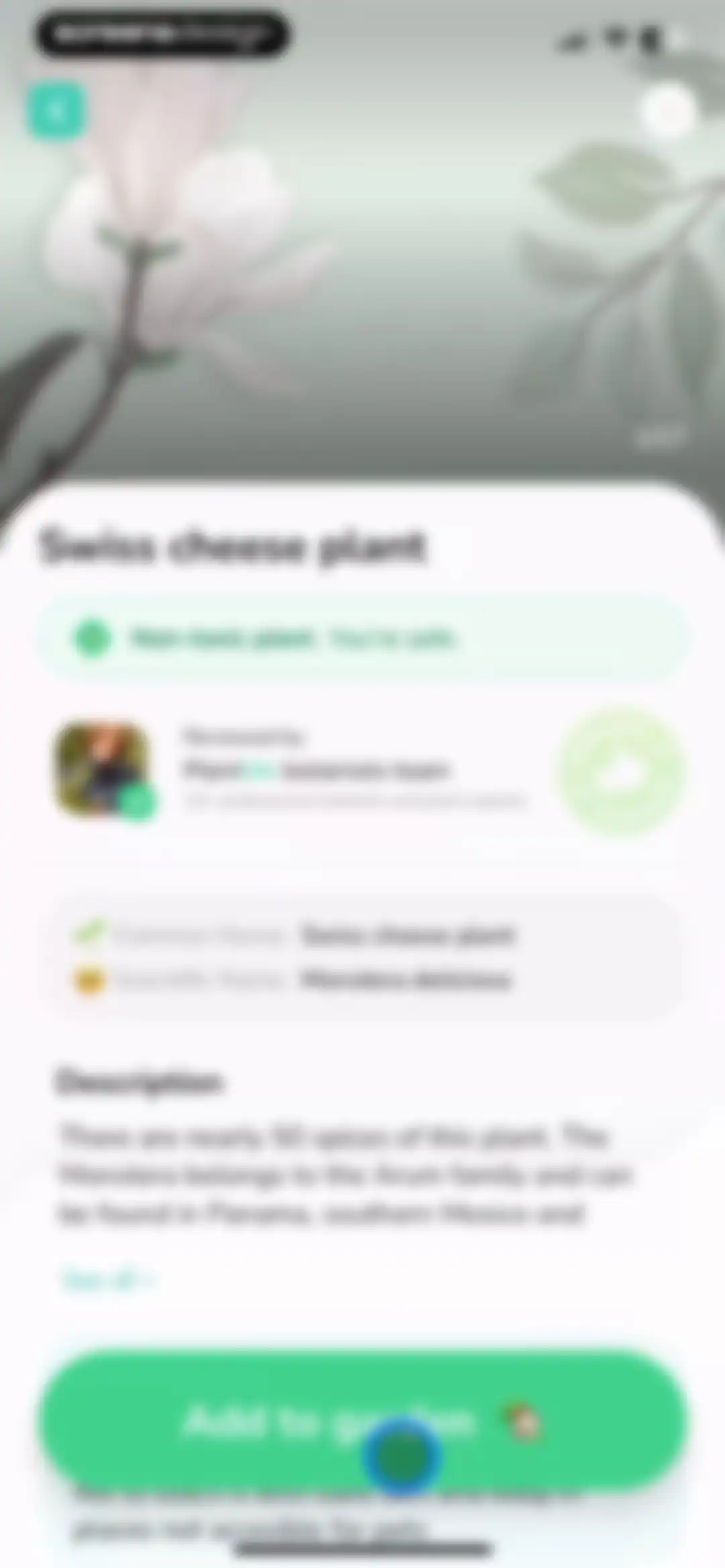 Plant Identifier - PlantMe screen 18