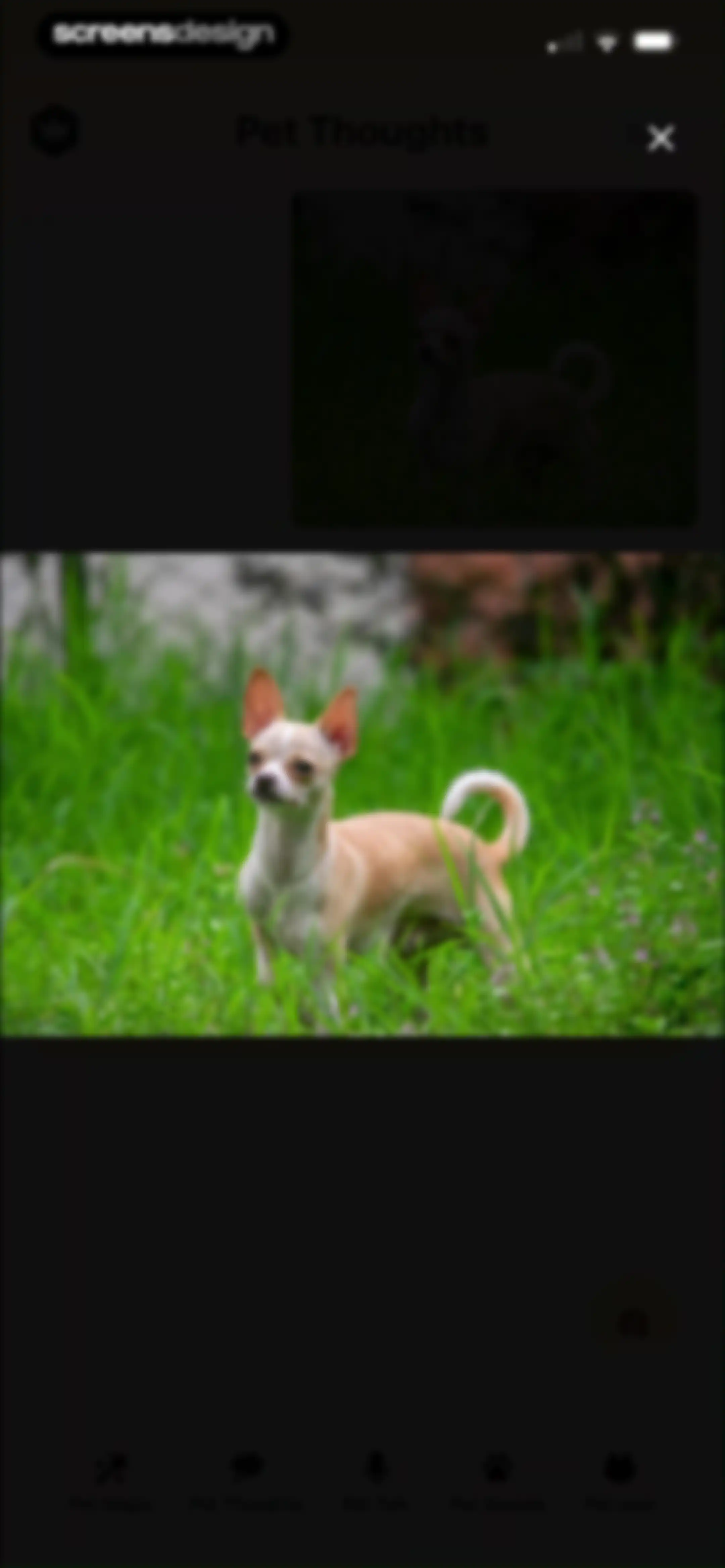 Pet Chat: Cat & Dog Translator screen 49