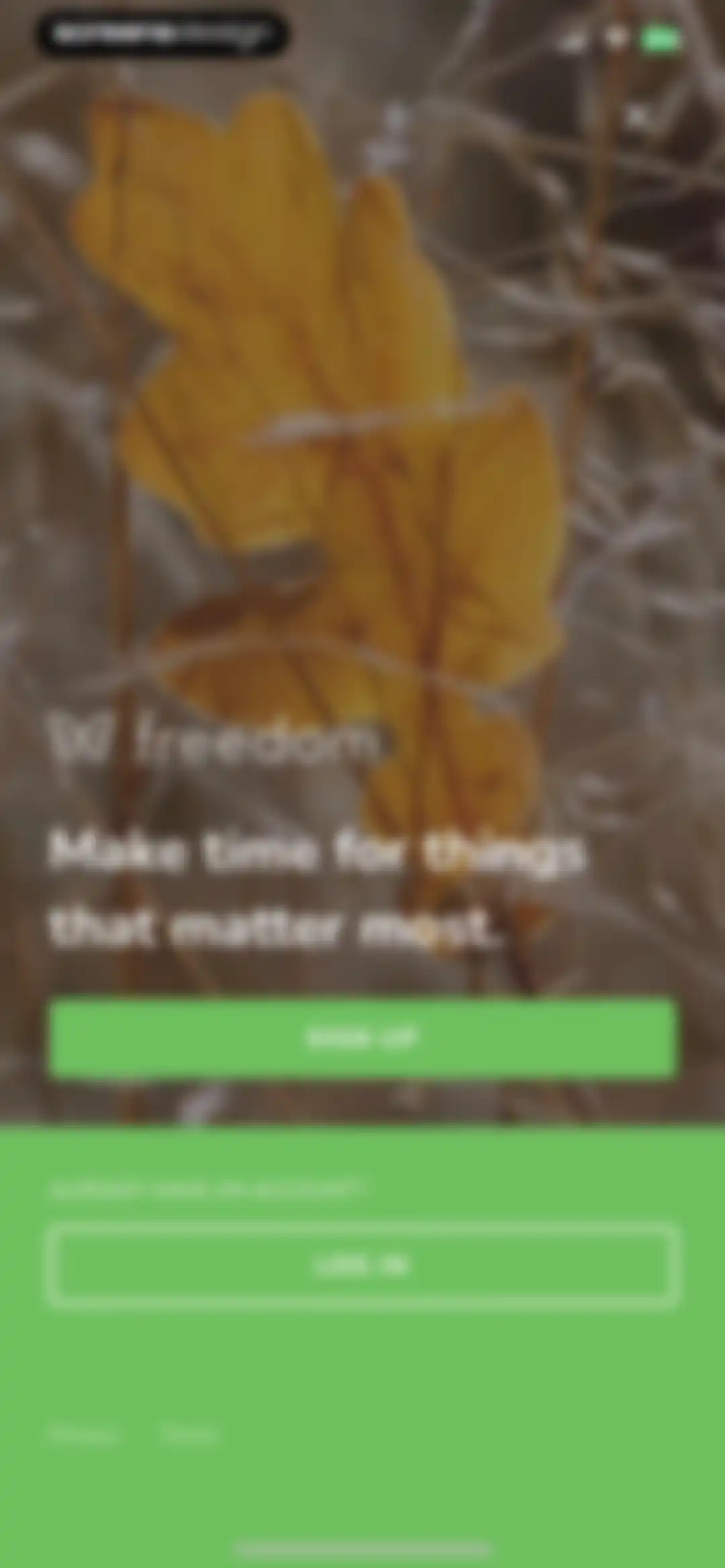 Freedom: Screen Time Control screen 2