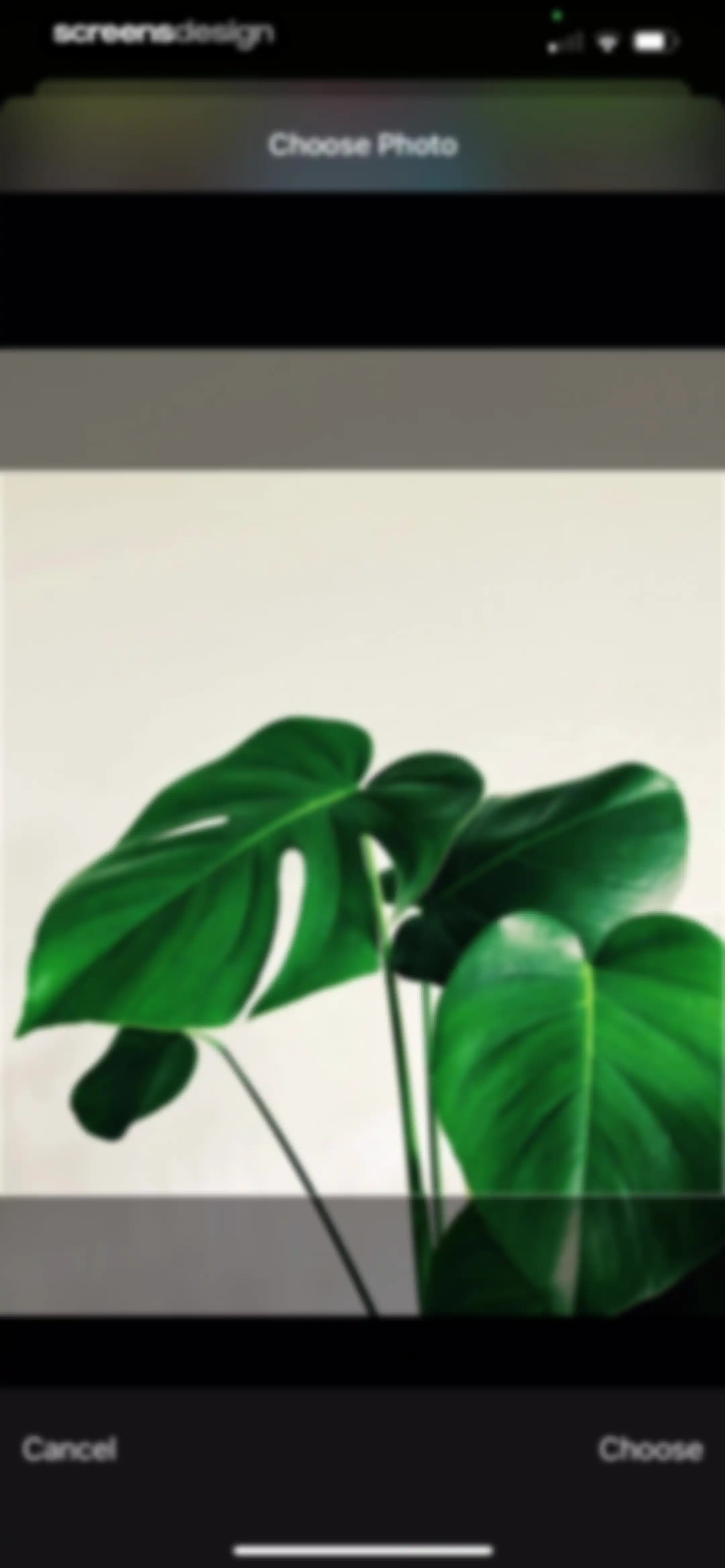 Plant Identifier & Care App screen 77
