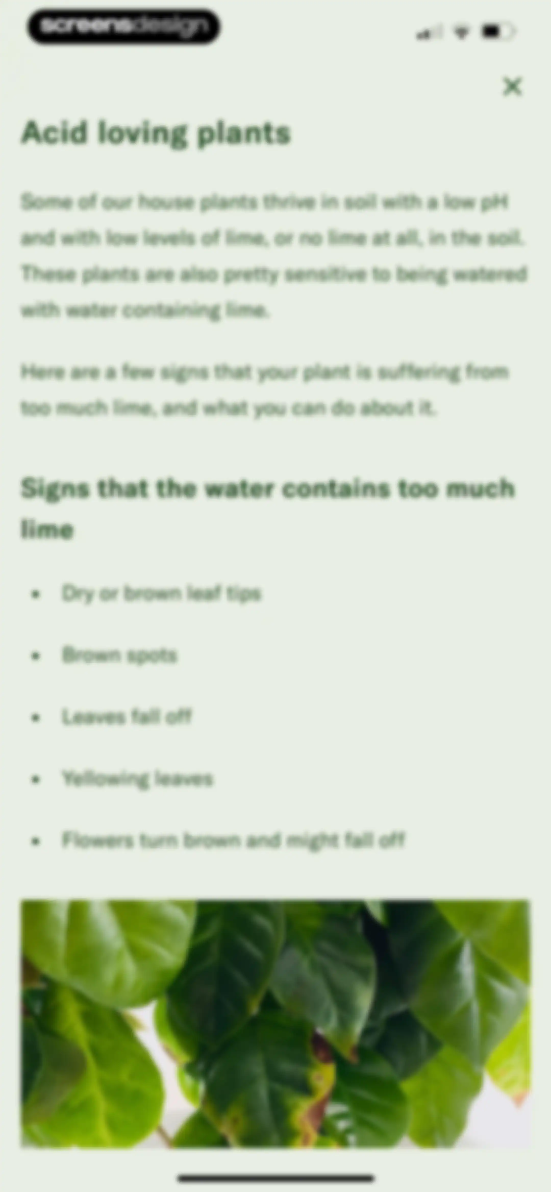 Planta: Plant & Garden Care screen 139