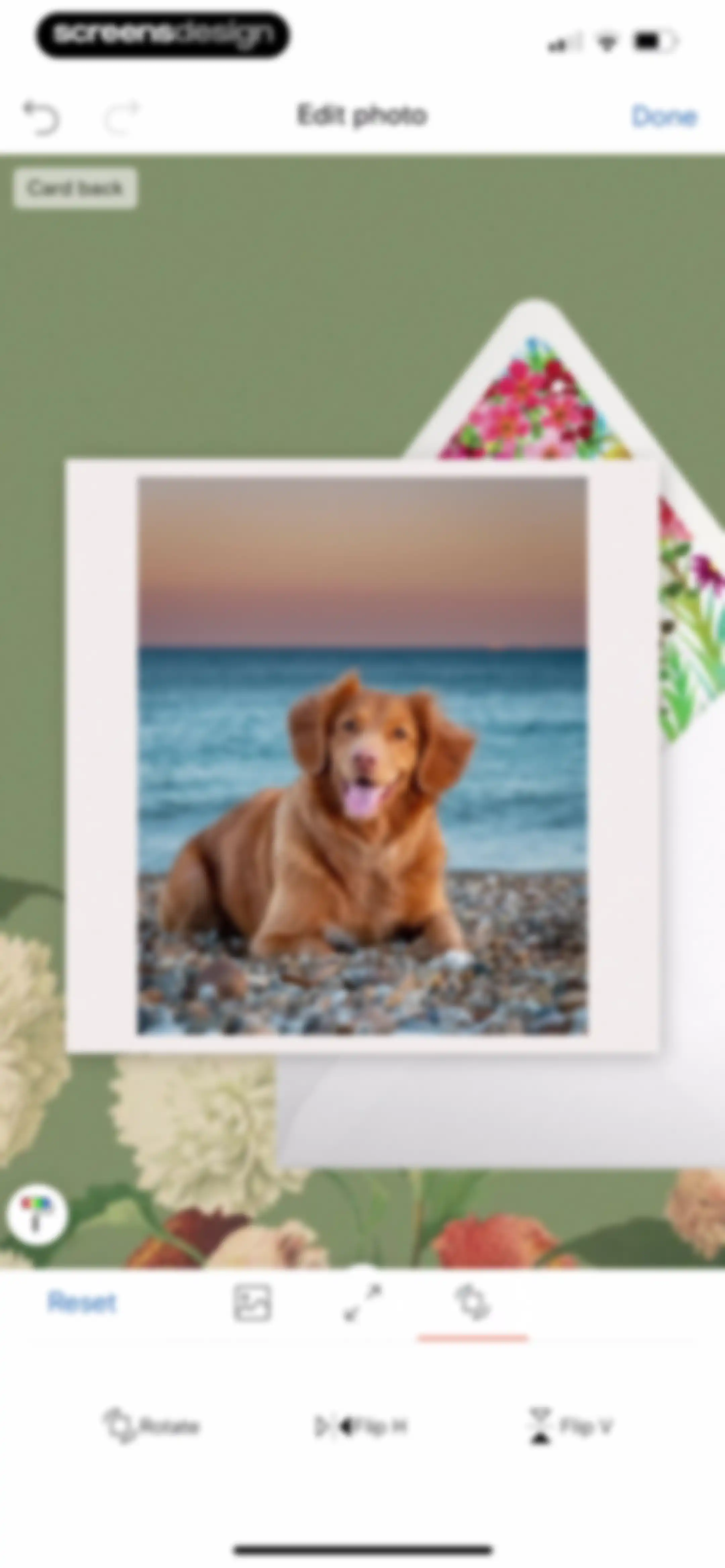 Paperless Post: Invitations screen 39