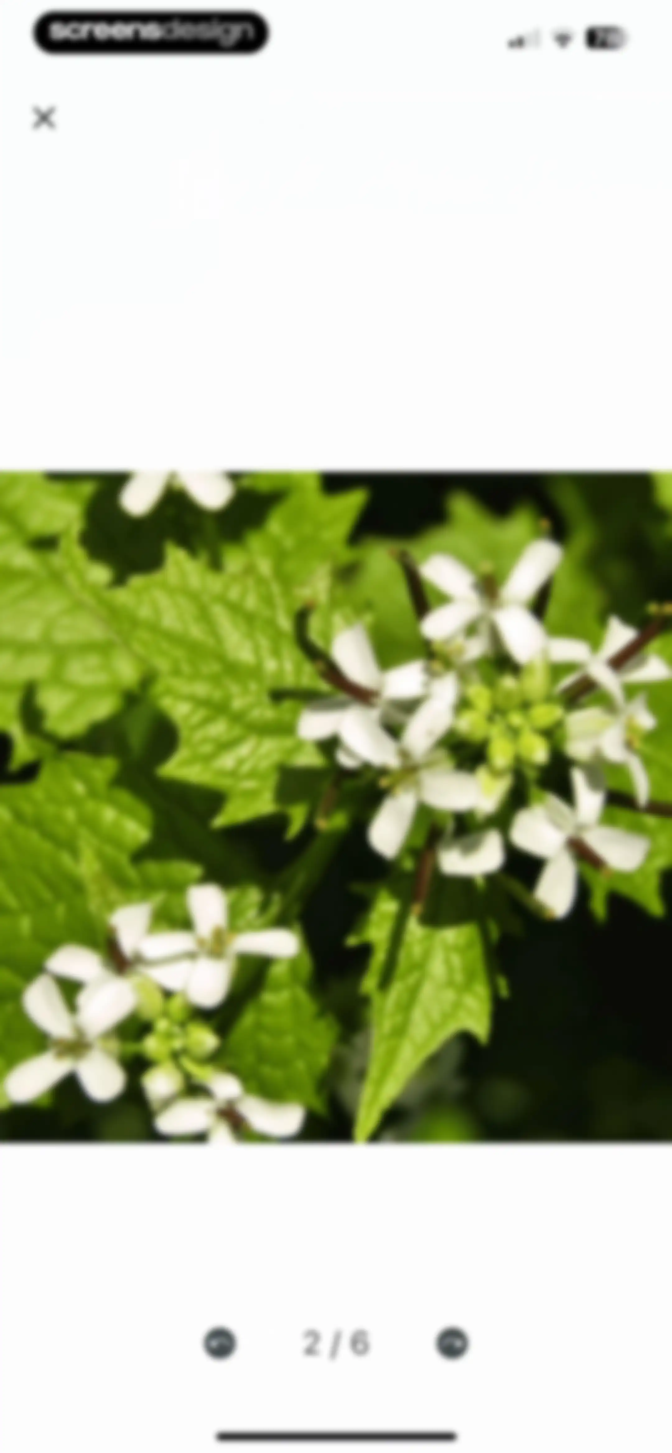 Plant Identifier: ChatPlant AI screen 33