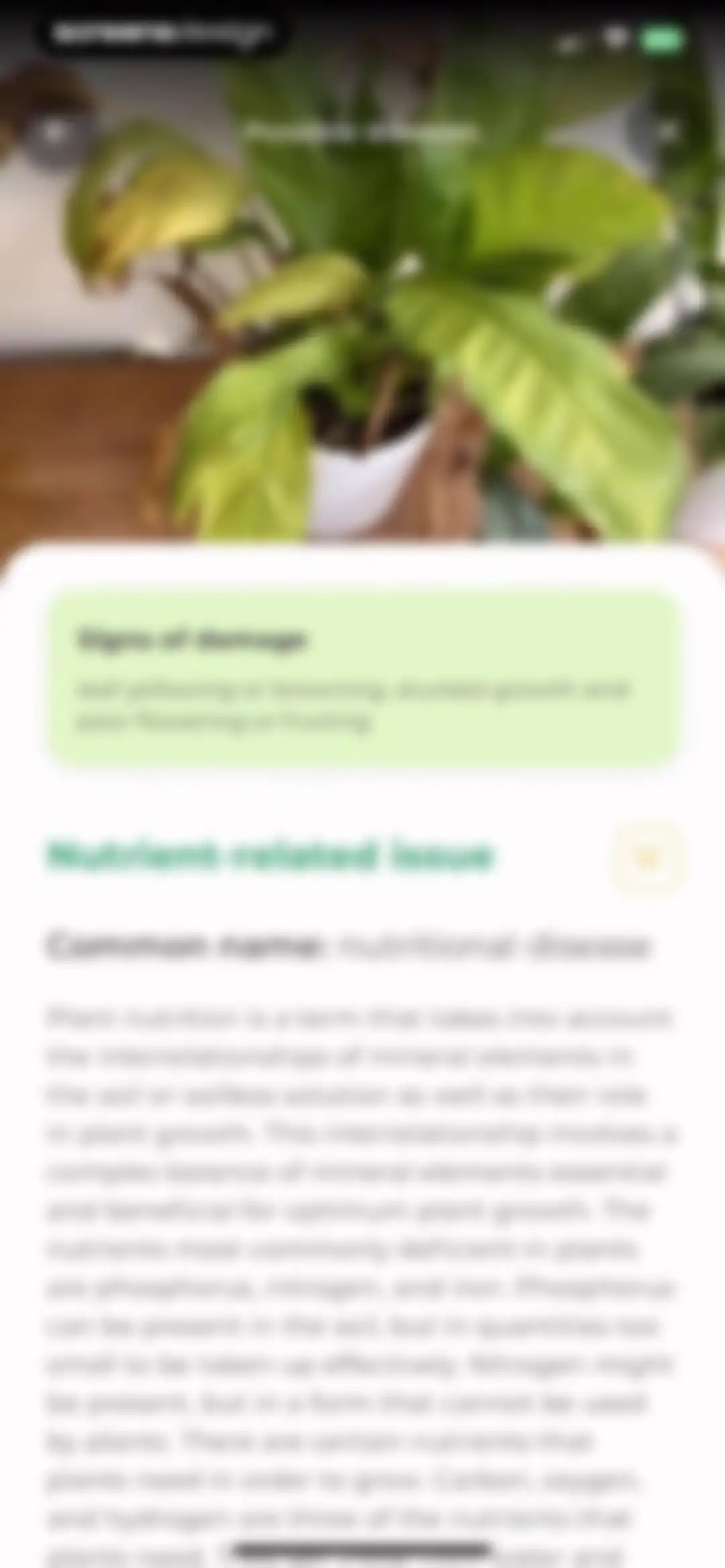 Plant Identifier: LeafSnap screen 36