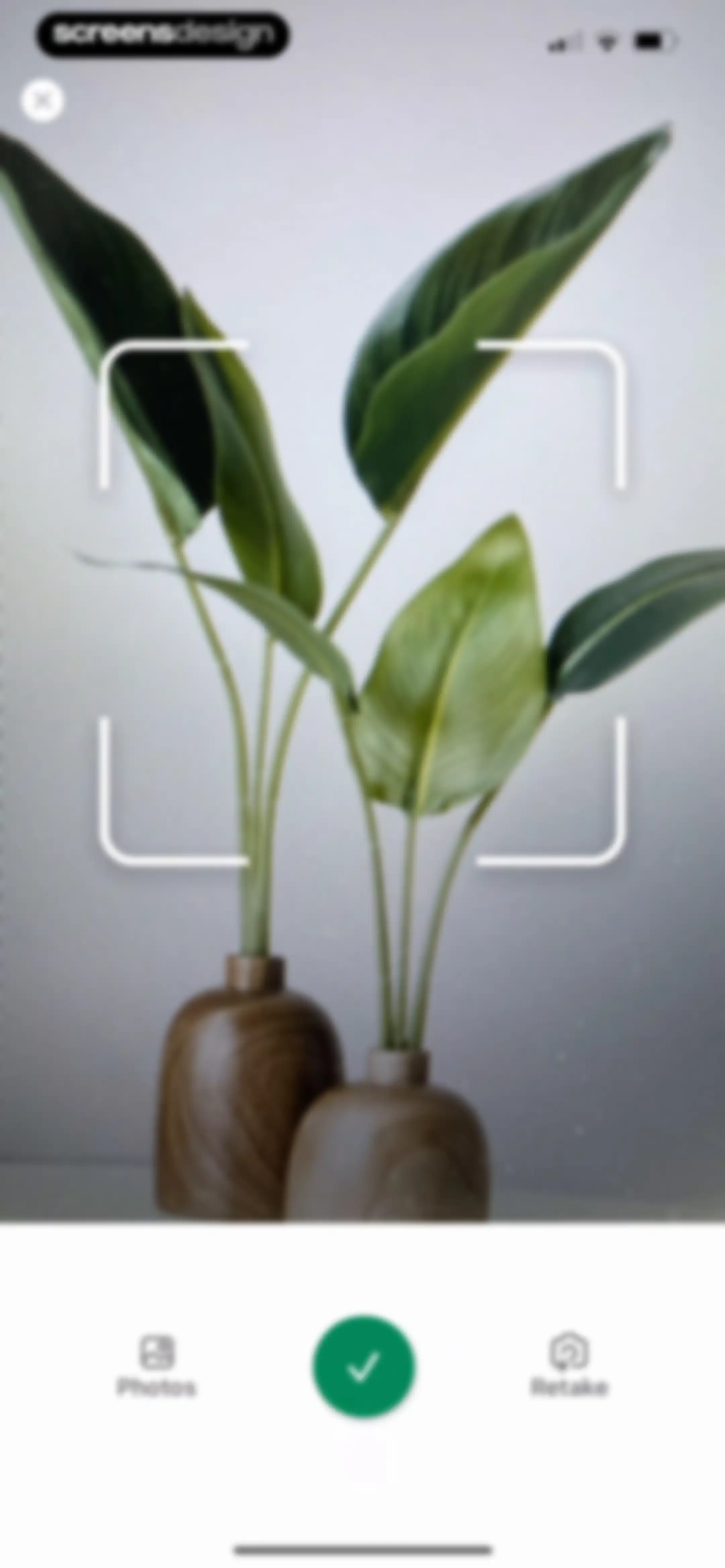 Identify My Plant Now screen 28