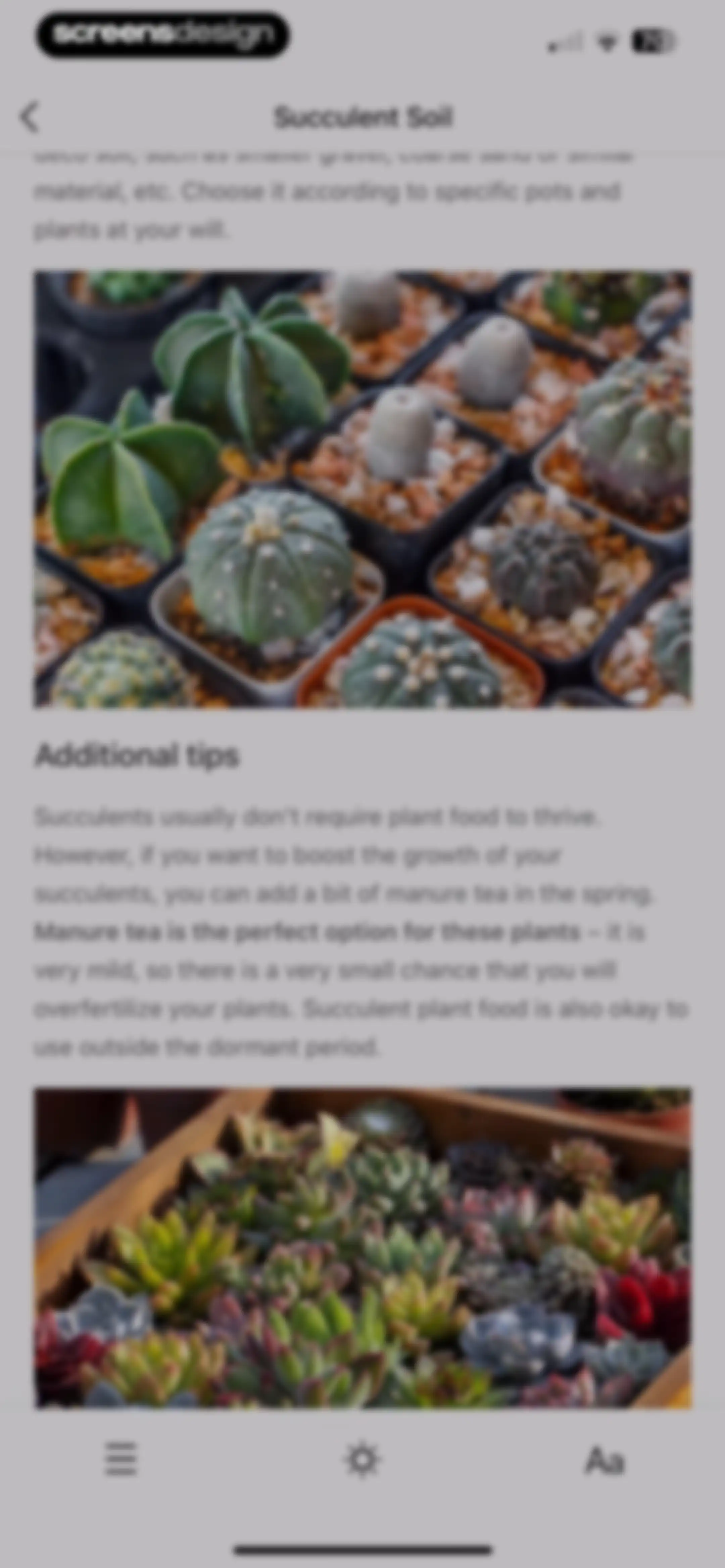 PictureThis - Plant Identifier screen 204
