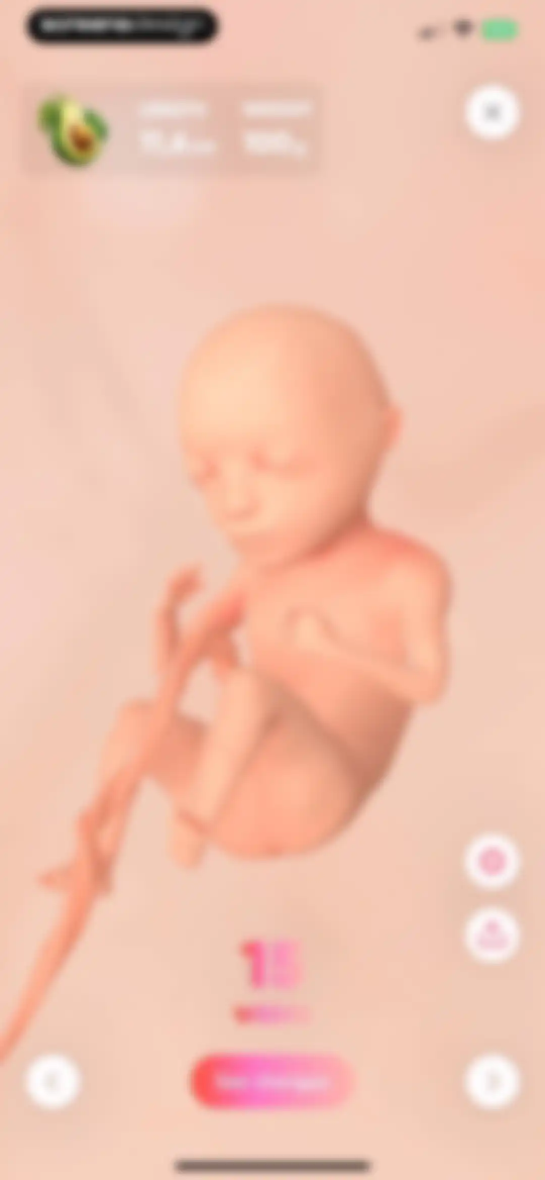 WeMoms - Pregnancy & Baby App screen 11