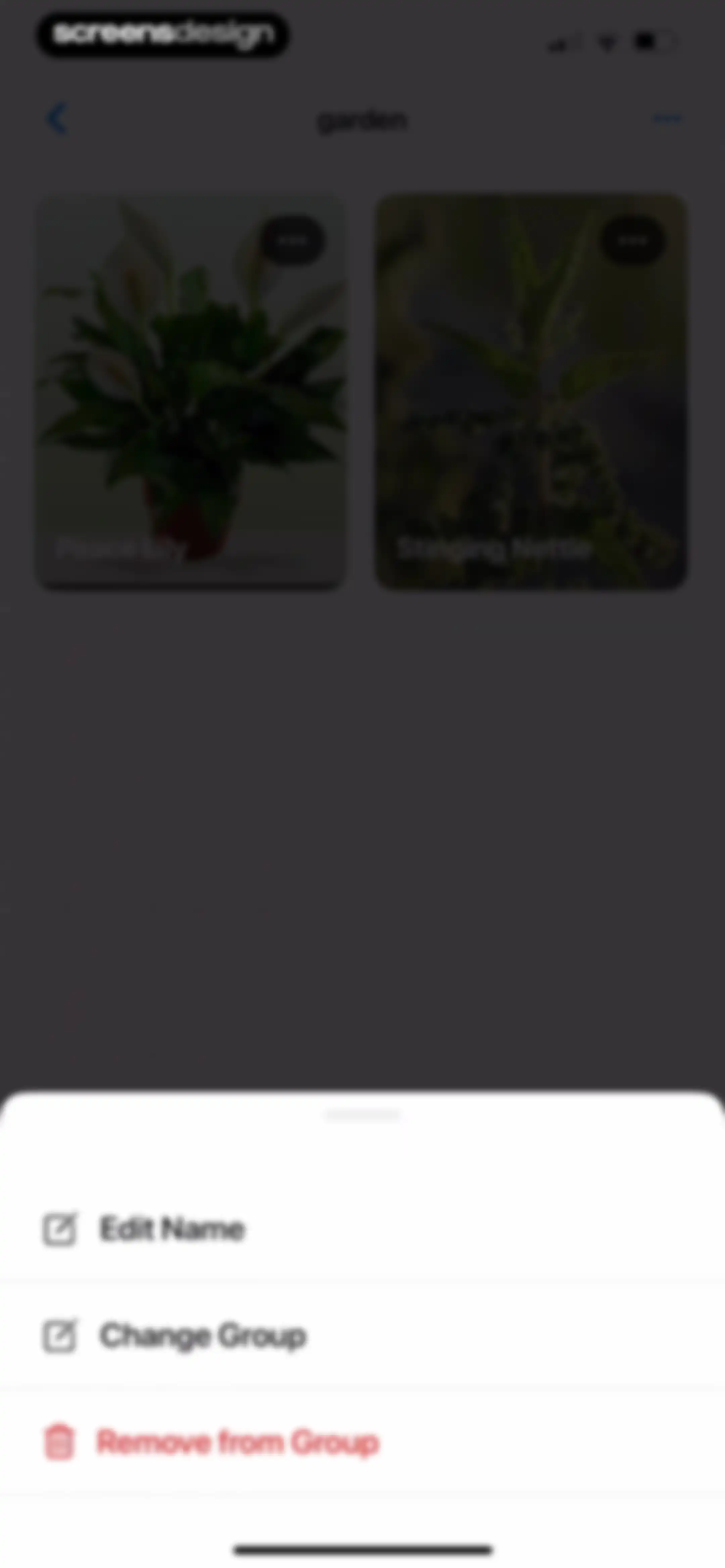Plant App: Plant Identifier screen 130