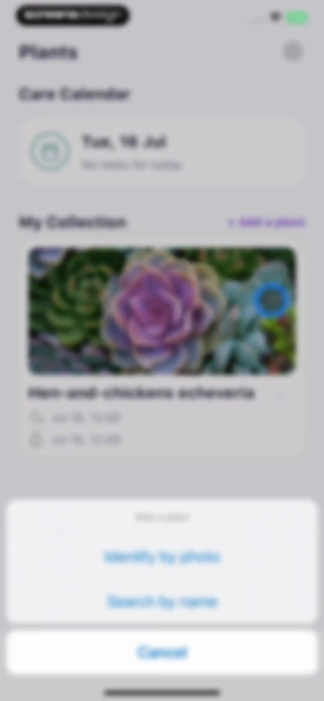 AI Plant Identifier・Care－Lily screen 41