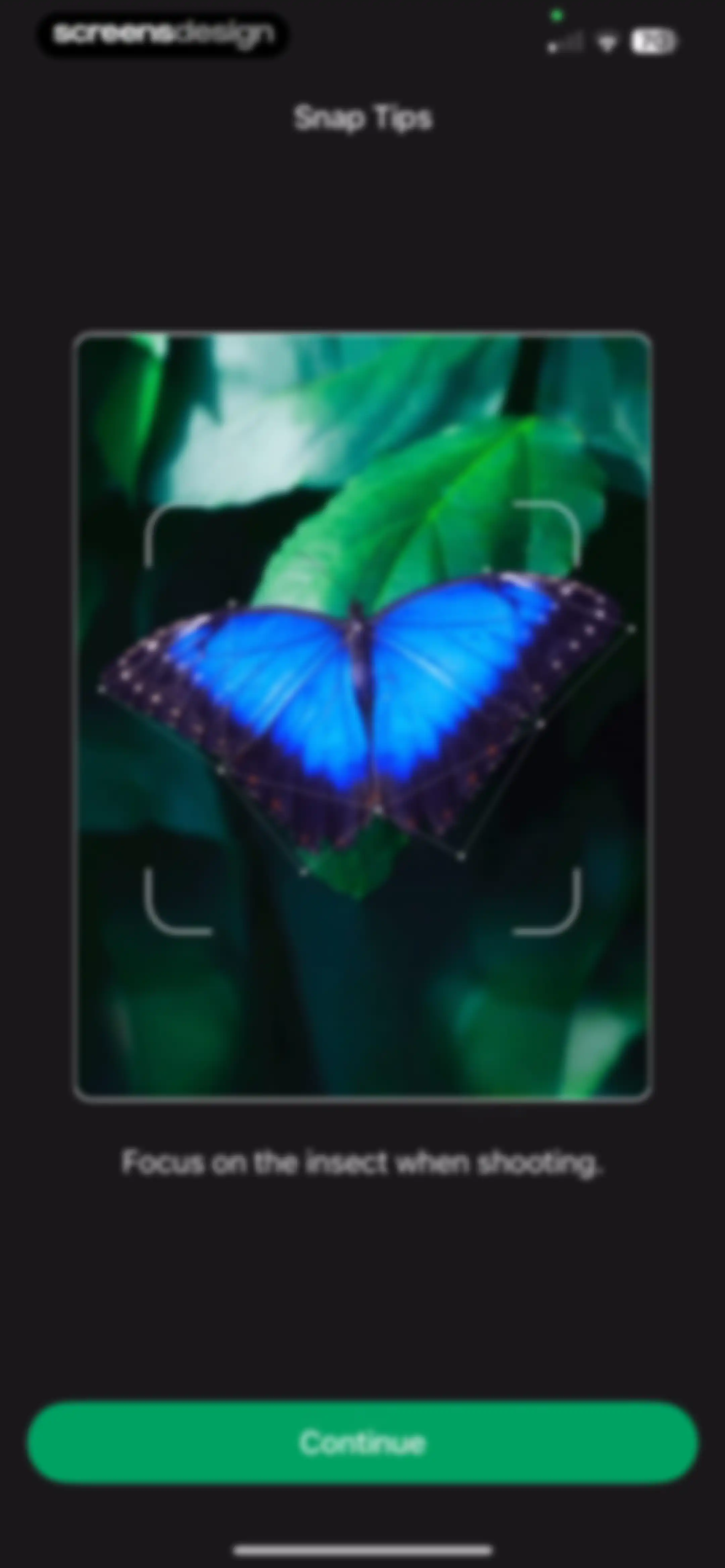 PictureThis - Plant Identifier screen 206