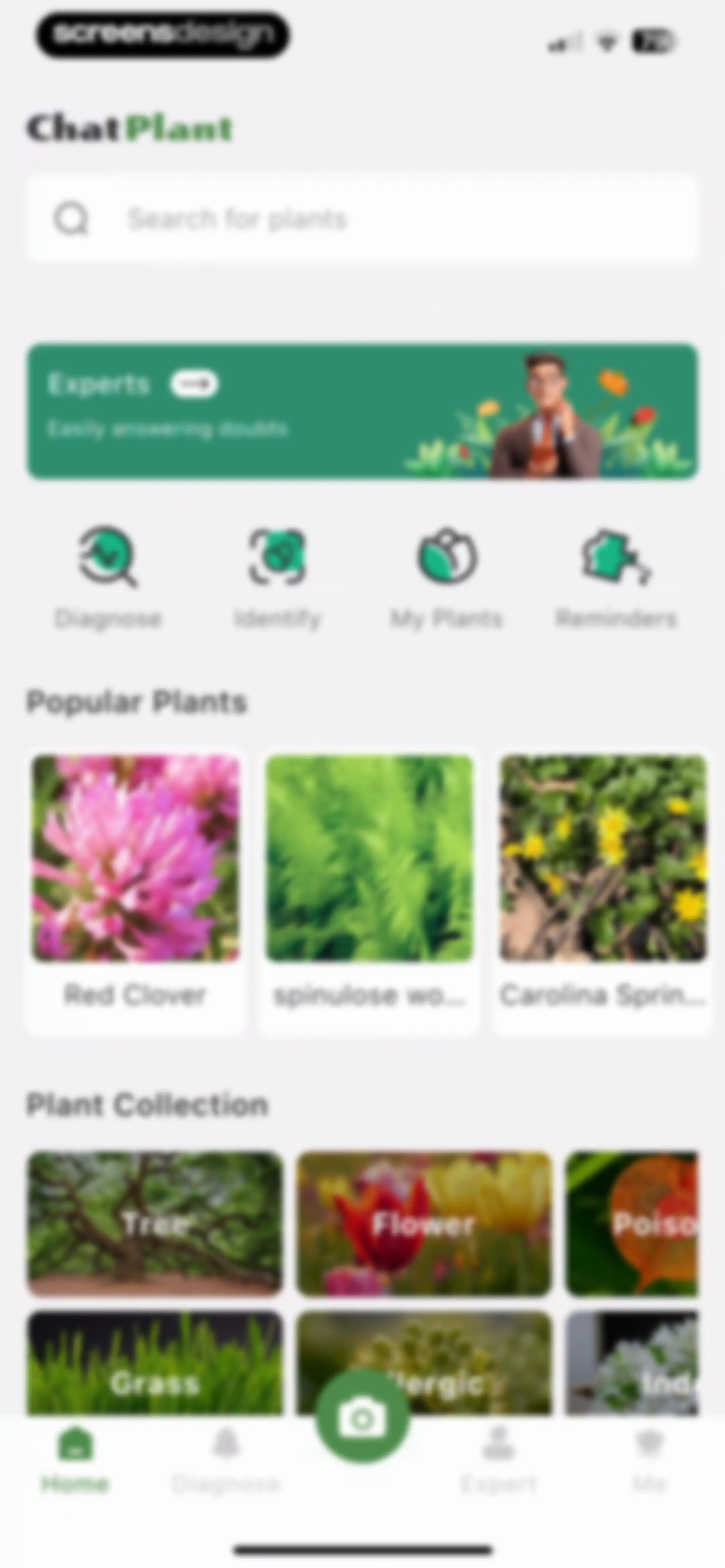 Plant Identifier: ChatPlant AI screen 23