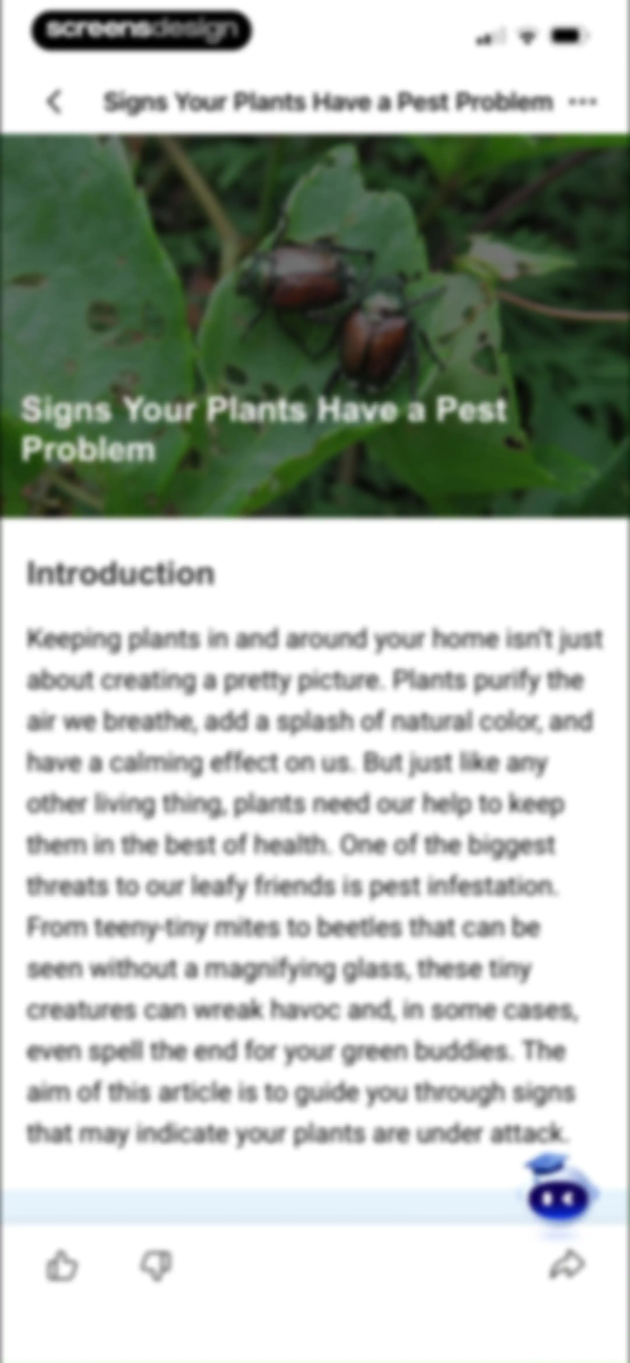 Picture Insect: Bug Identifier screen 72