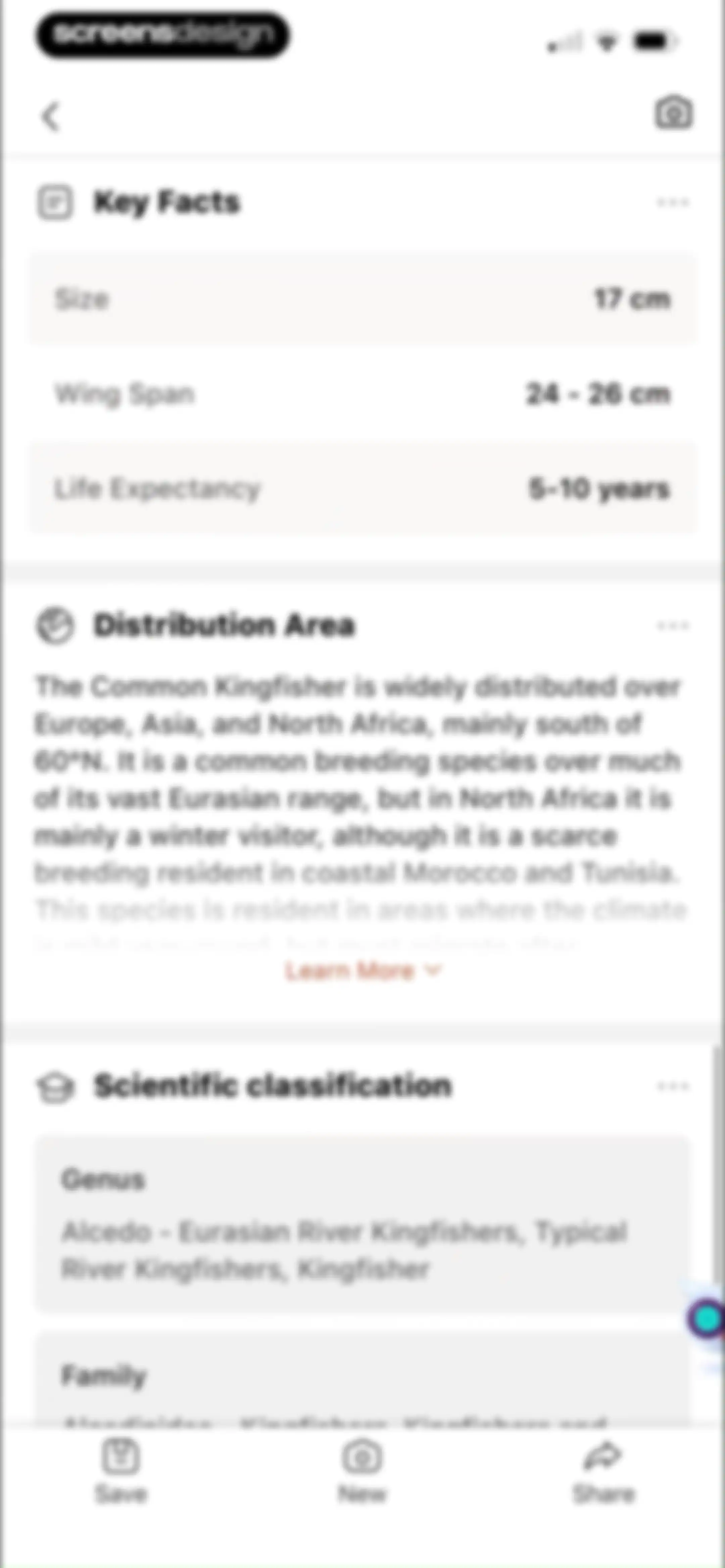 Picture Bird: Bird identifier screen 42