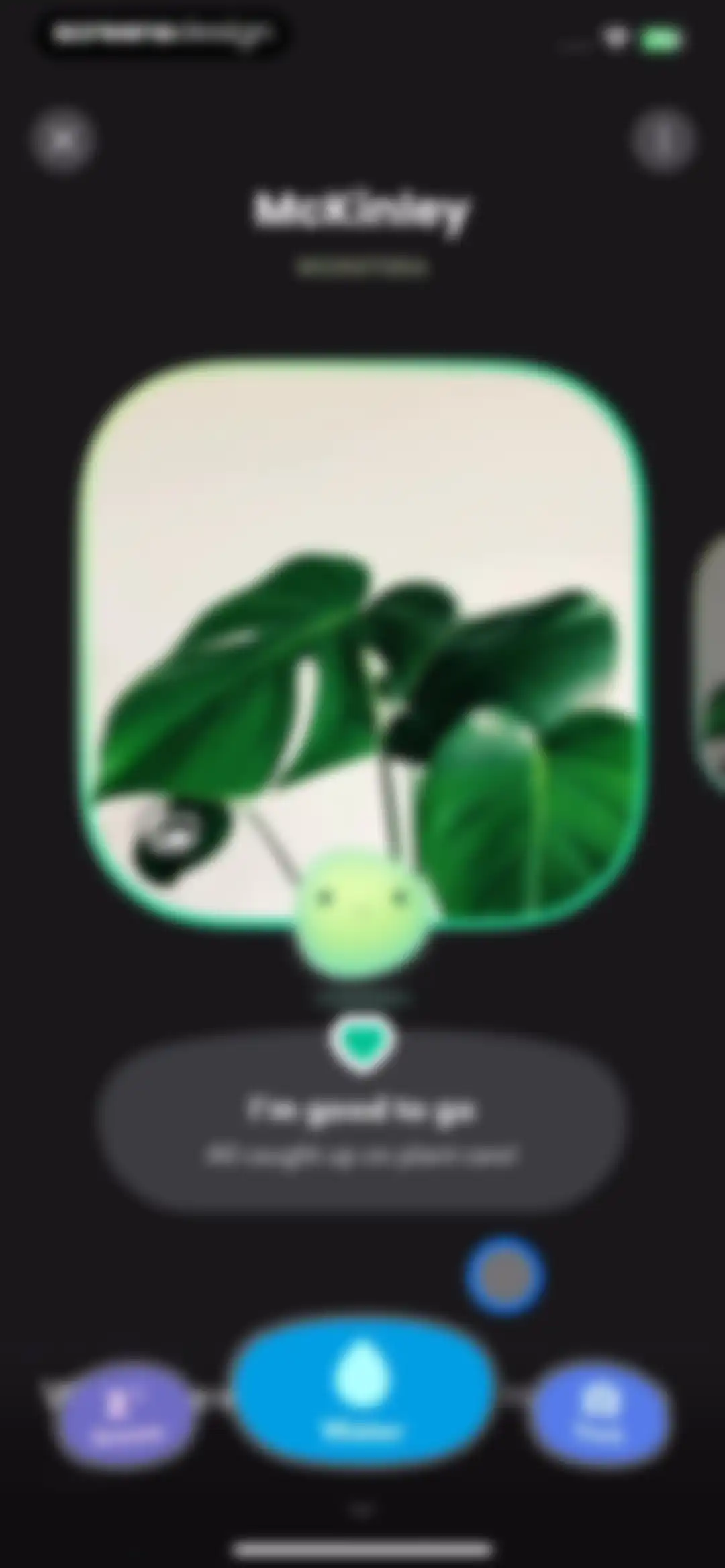 Greg: Plant Identifier & Care screen 27
