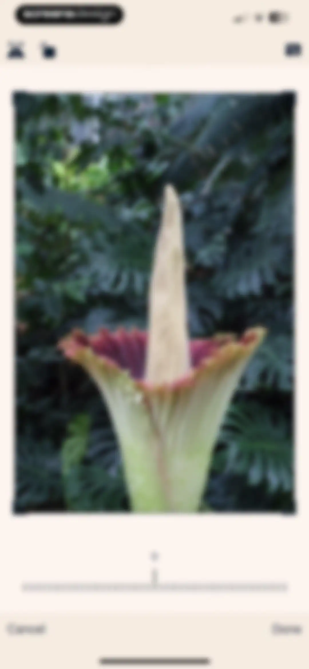 Colourtone: Photo Editor screen 37