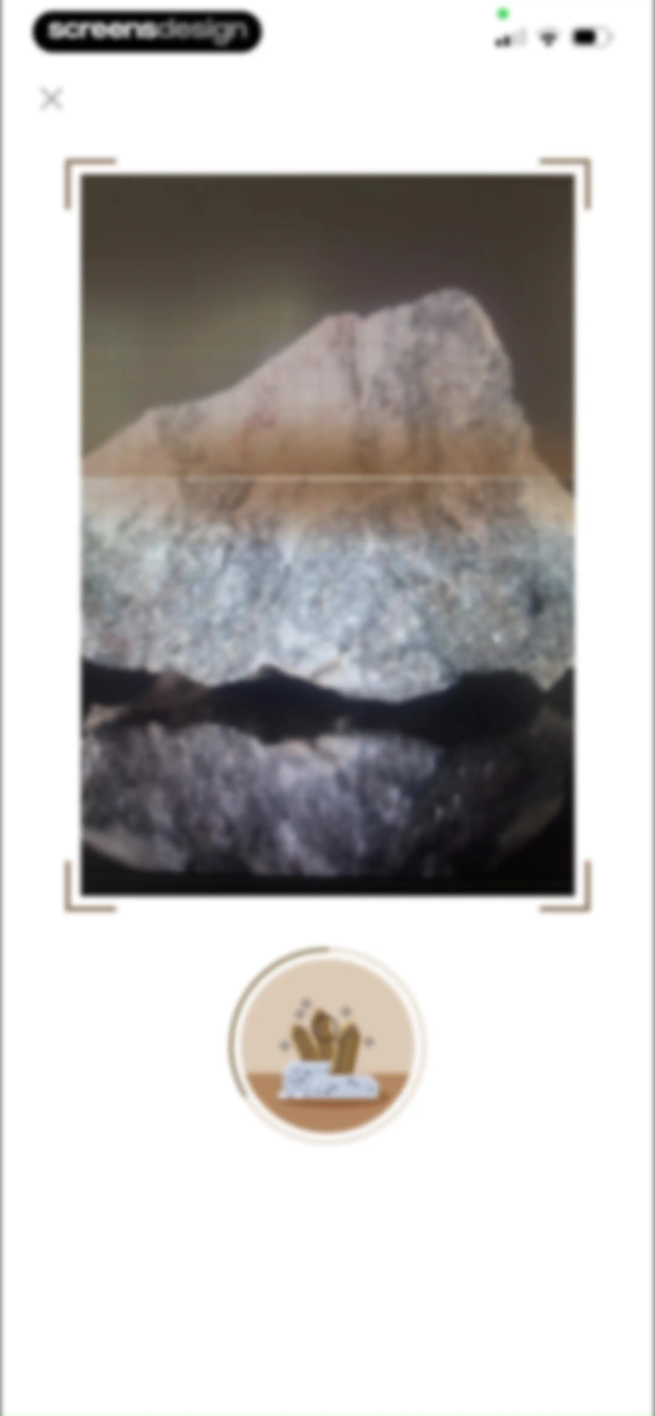 Rock Identifier: Stone ID screen 27