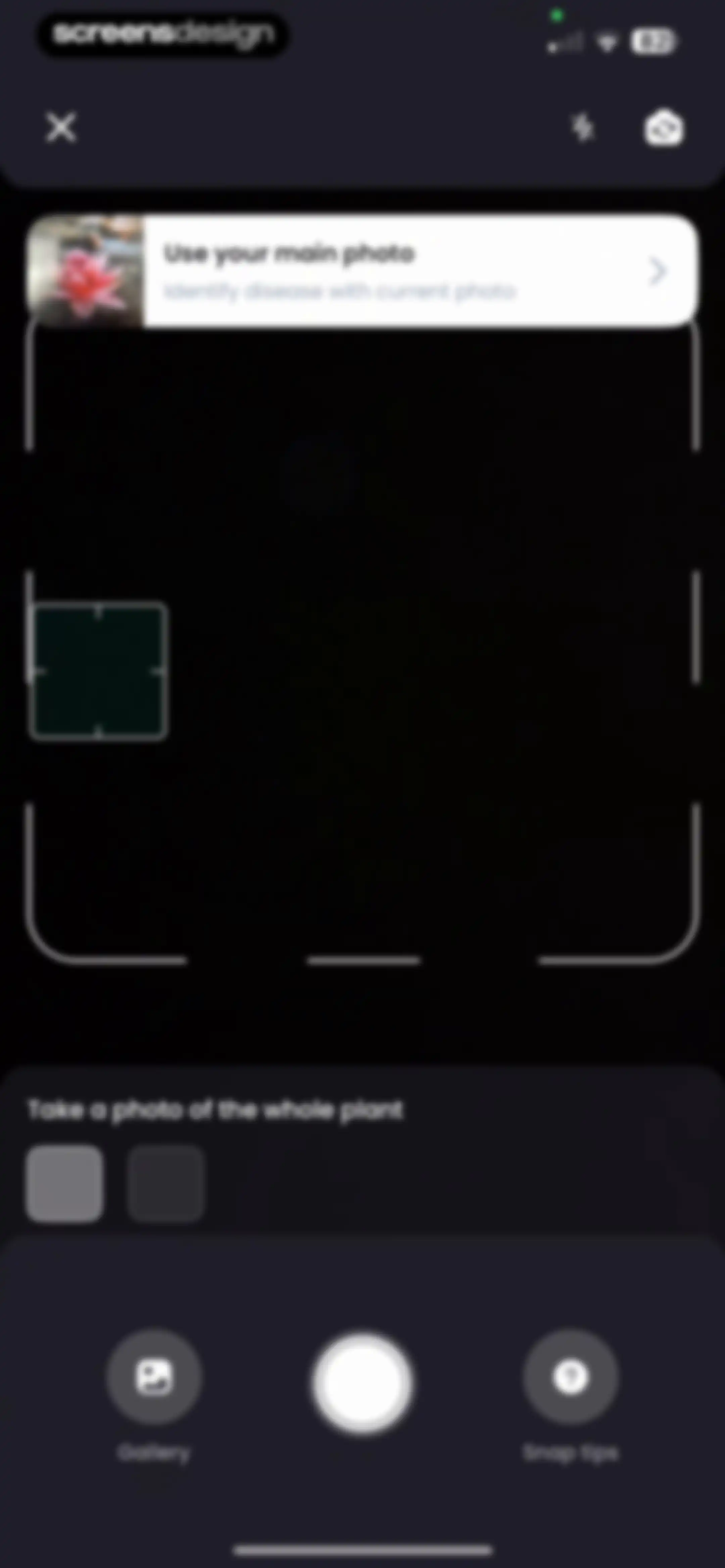 PlantIn: Plant Identifier・Care screen 71