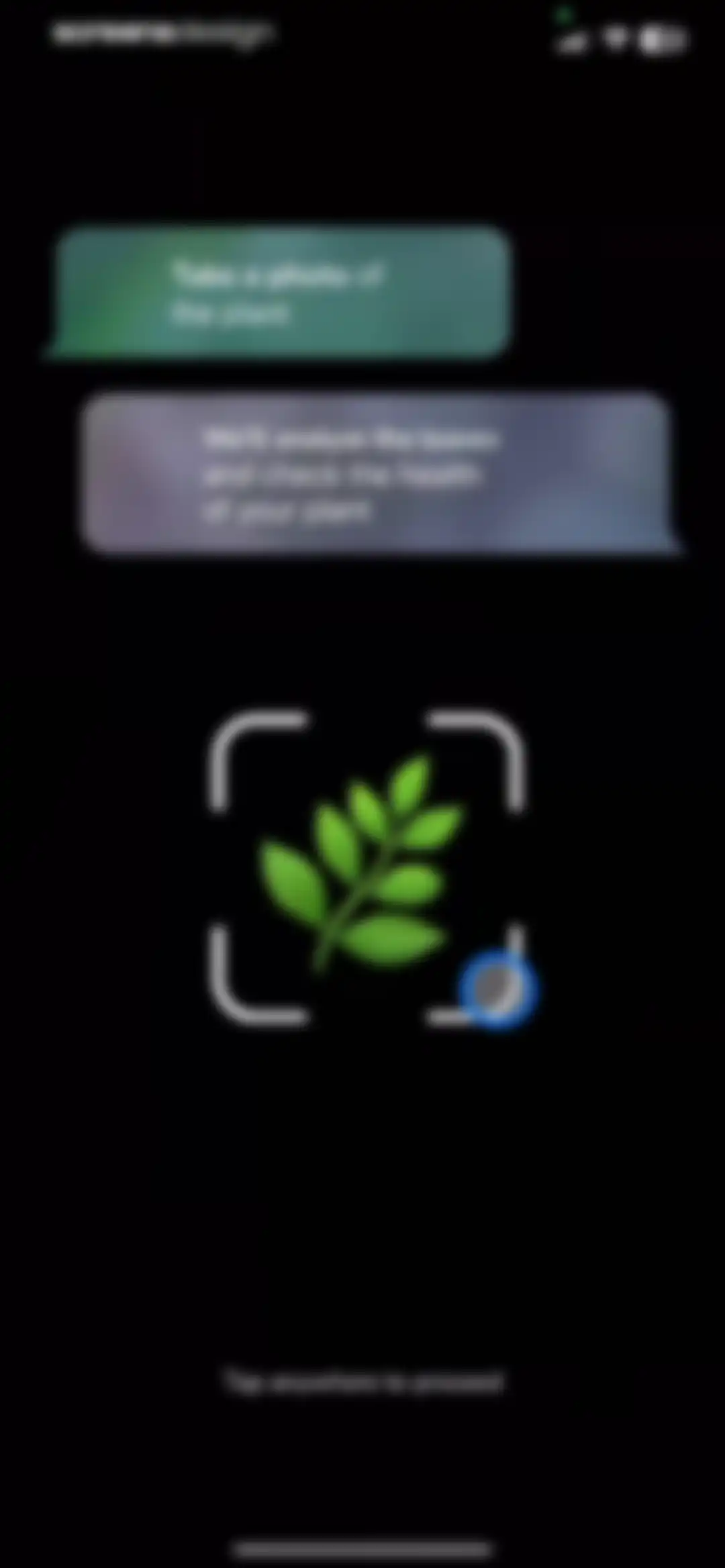 Plant Identifier - PlantMe screen 41