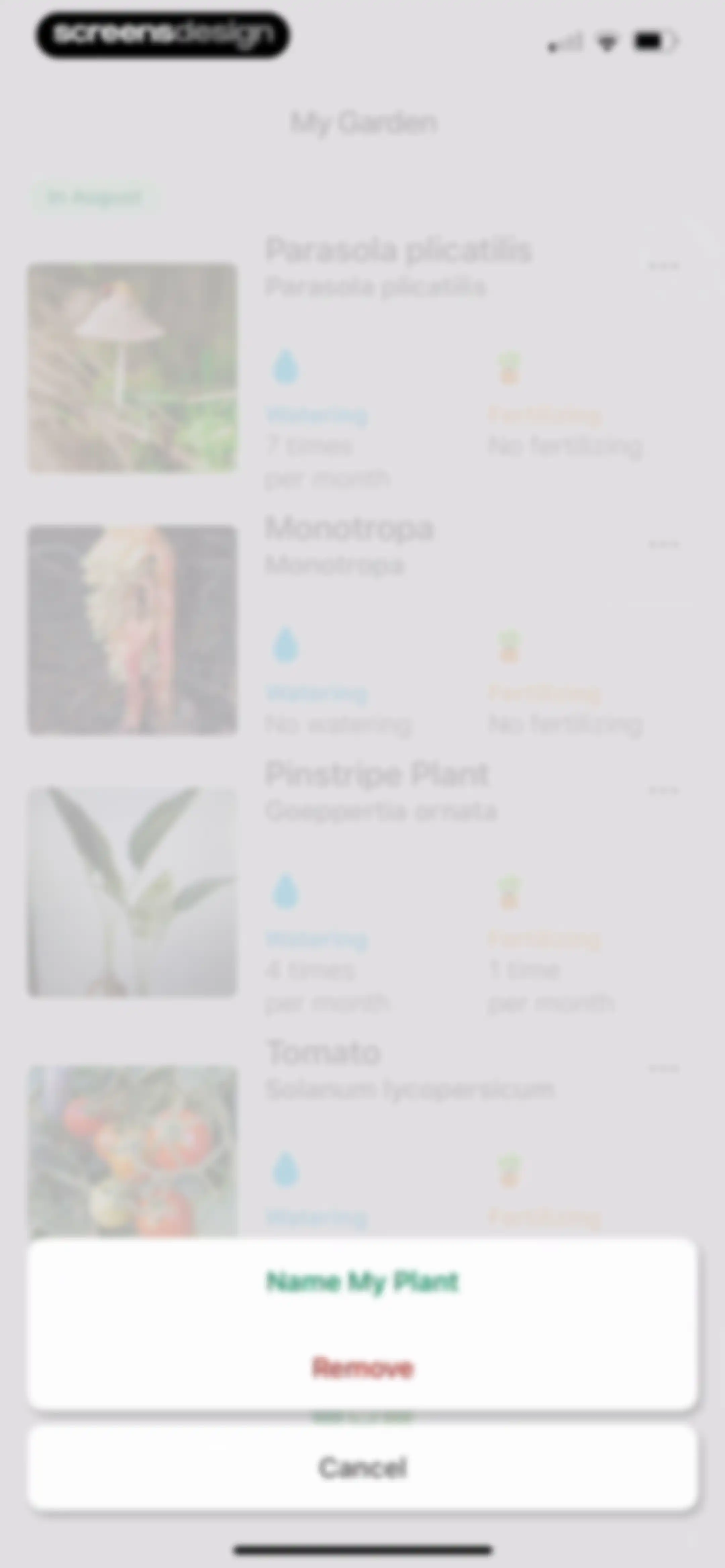 Identify My Plant Now screen 68