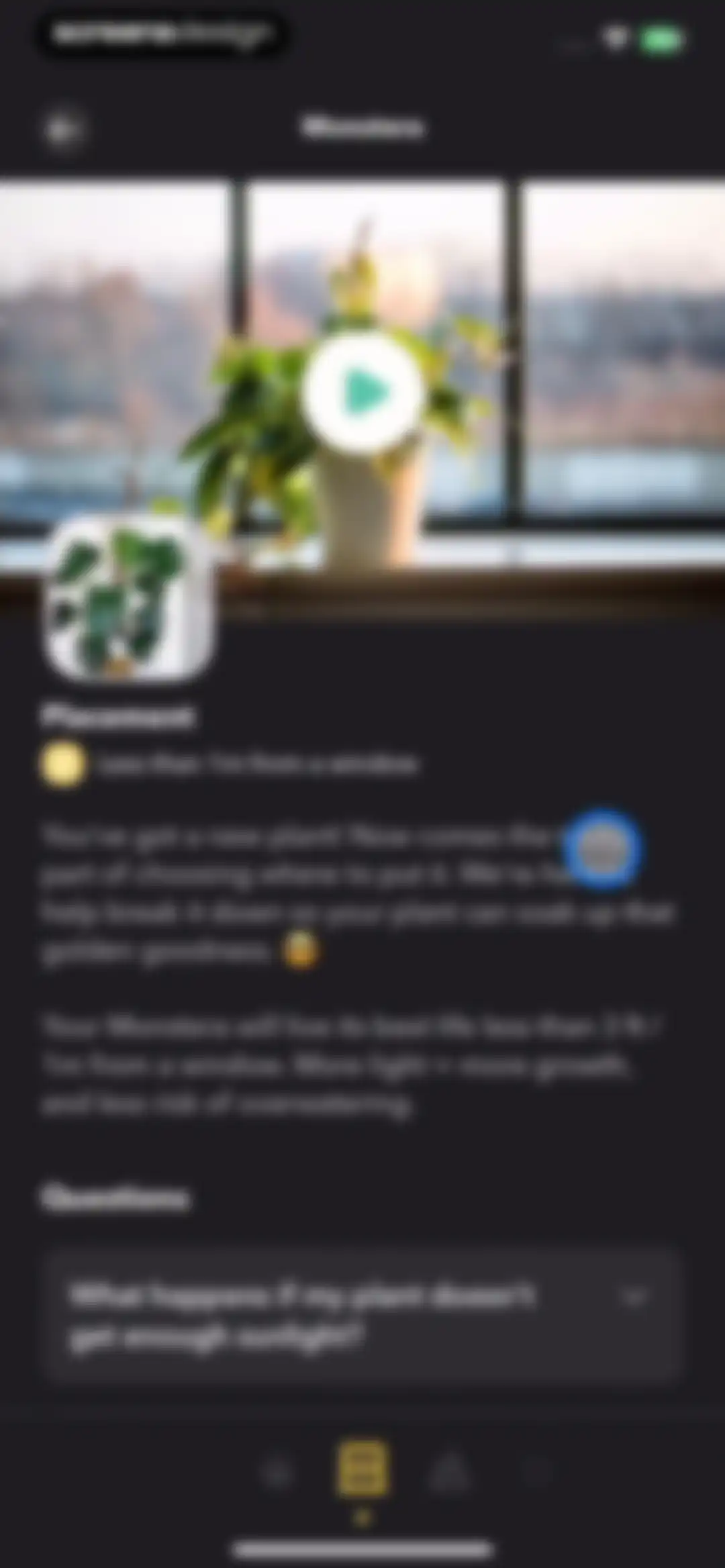 Greg: Plant Identifier & Care screen 29