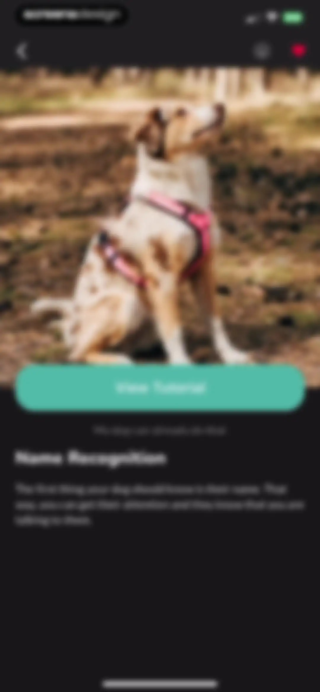 Hundeo - Dog Training & Tricks screen 46
