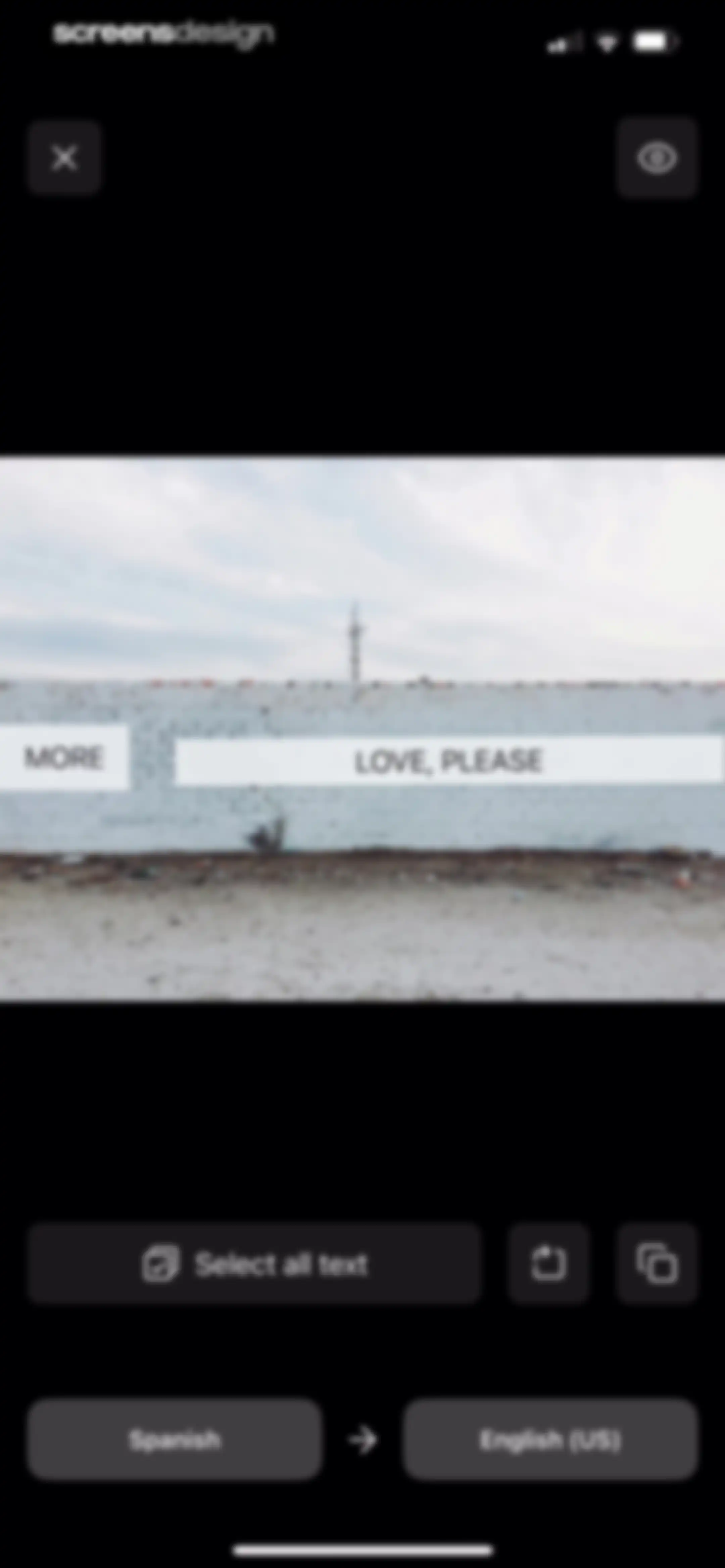 DeepL Translate screen 21
