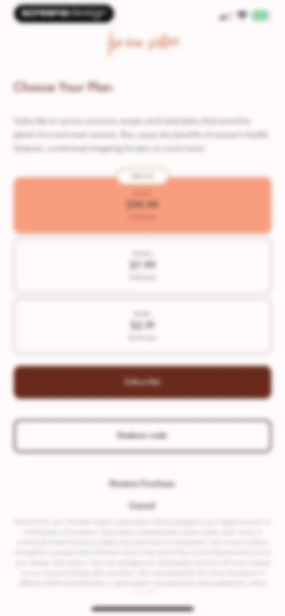 Two Raw Sisters Recipes screen 5