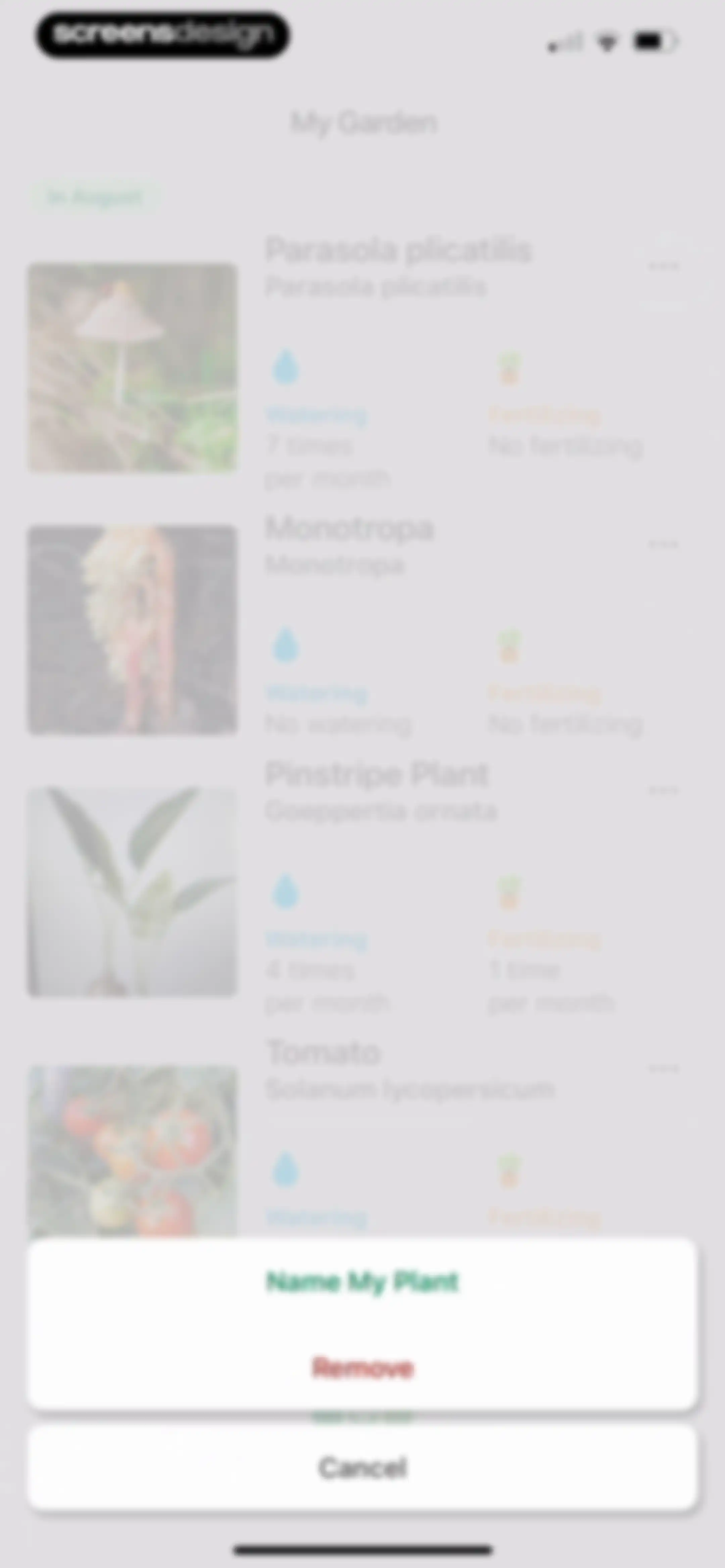 Identify My Plant Now screen 72