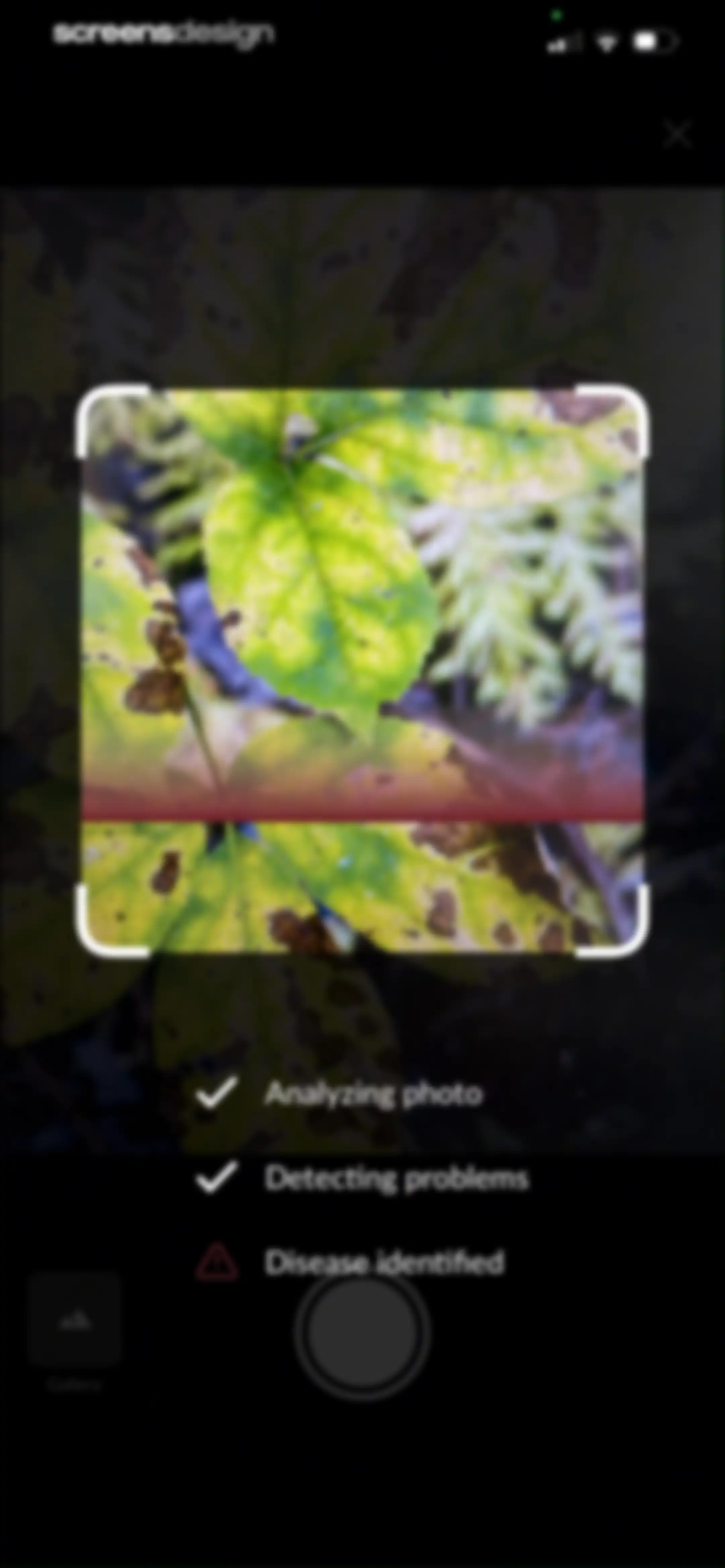 Plant Identification－Plantaria screen 73