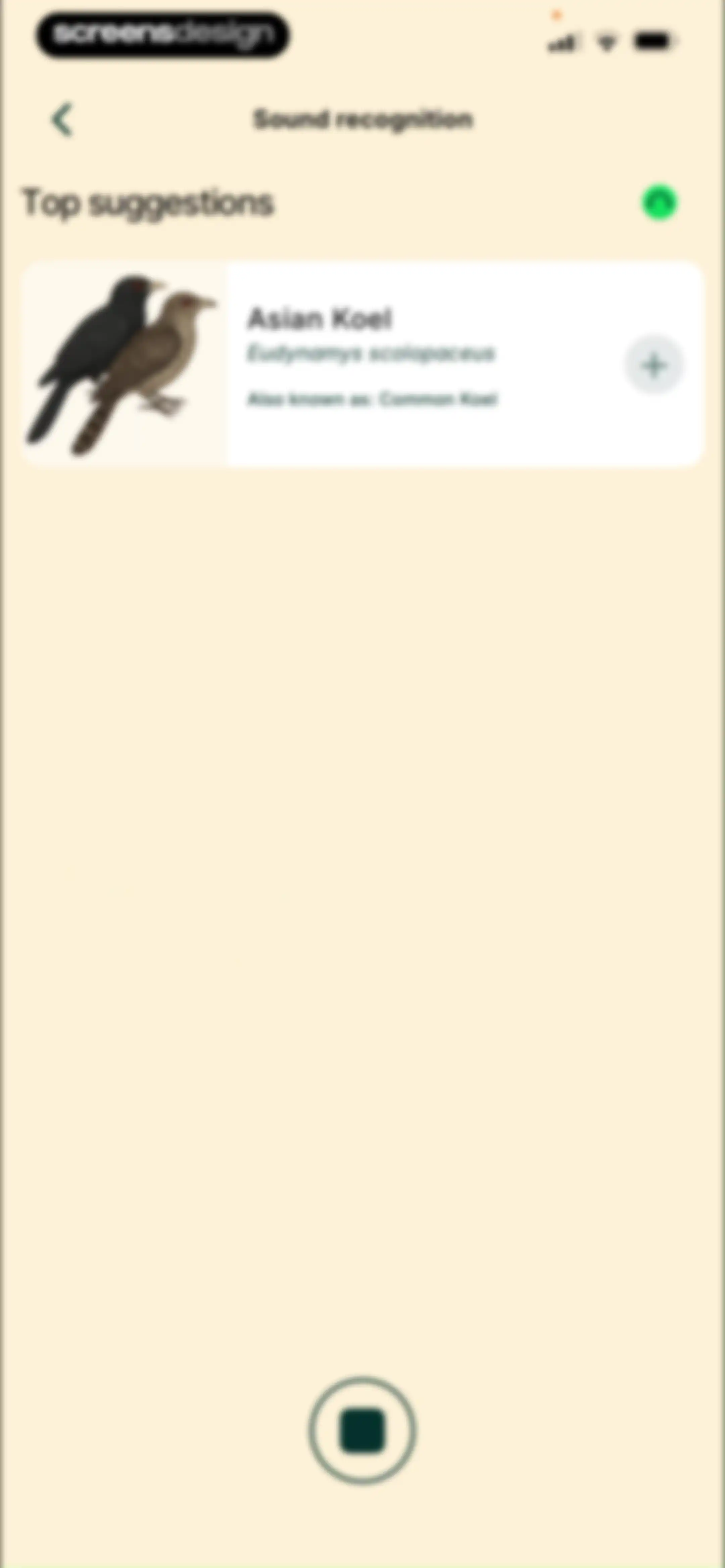 Birdbuddy: ID & Collect Birds screen 40