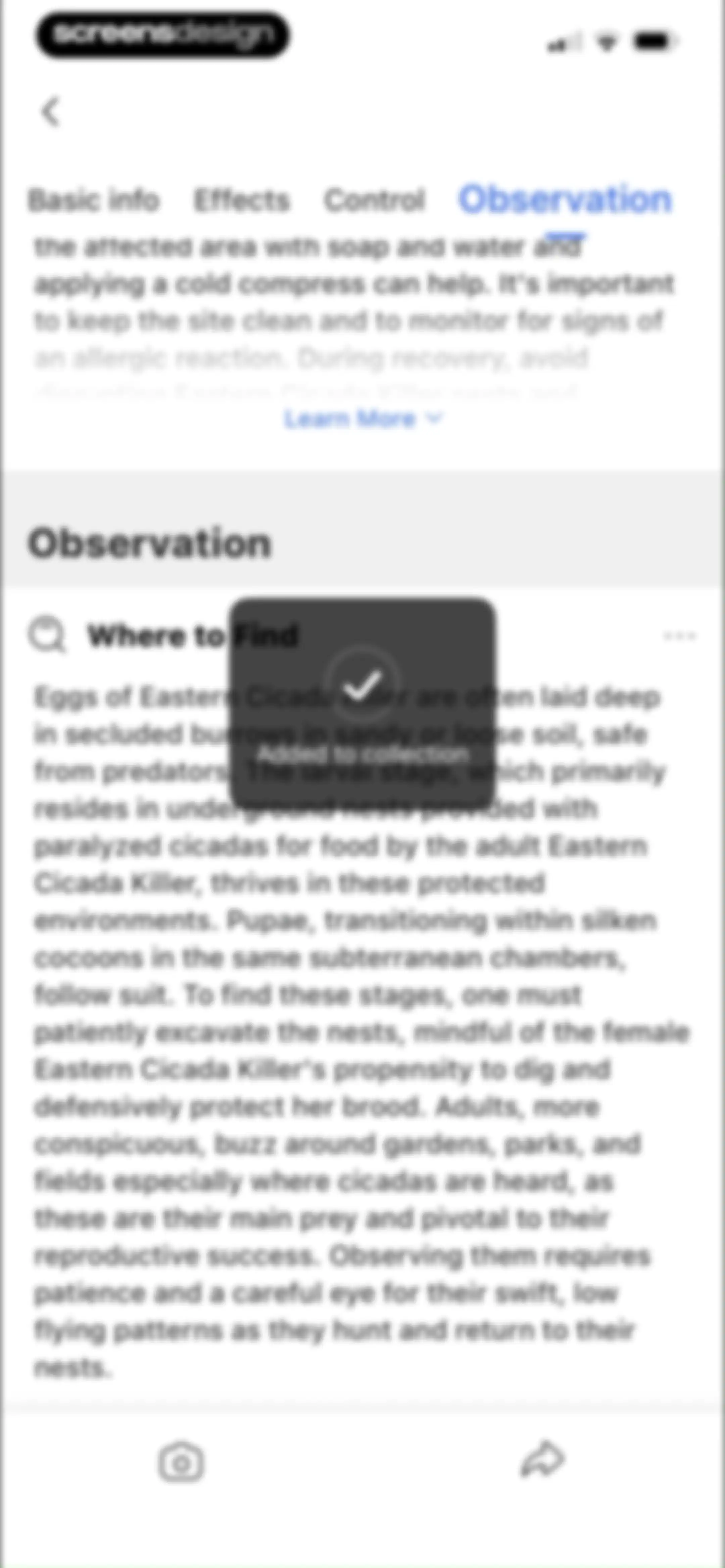 Picture Insect: Bug Identifier screen 32