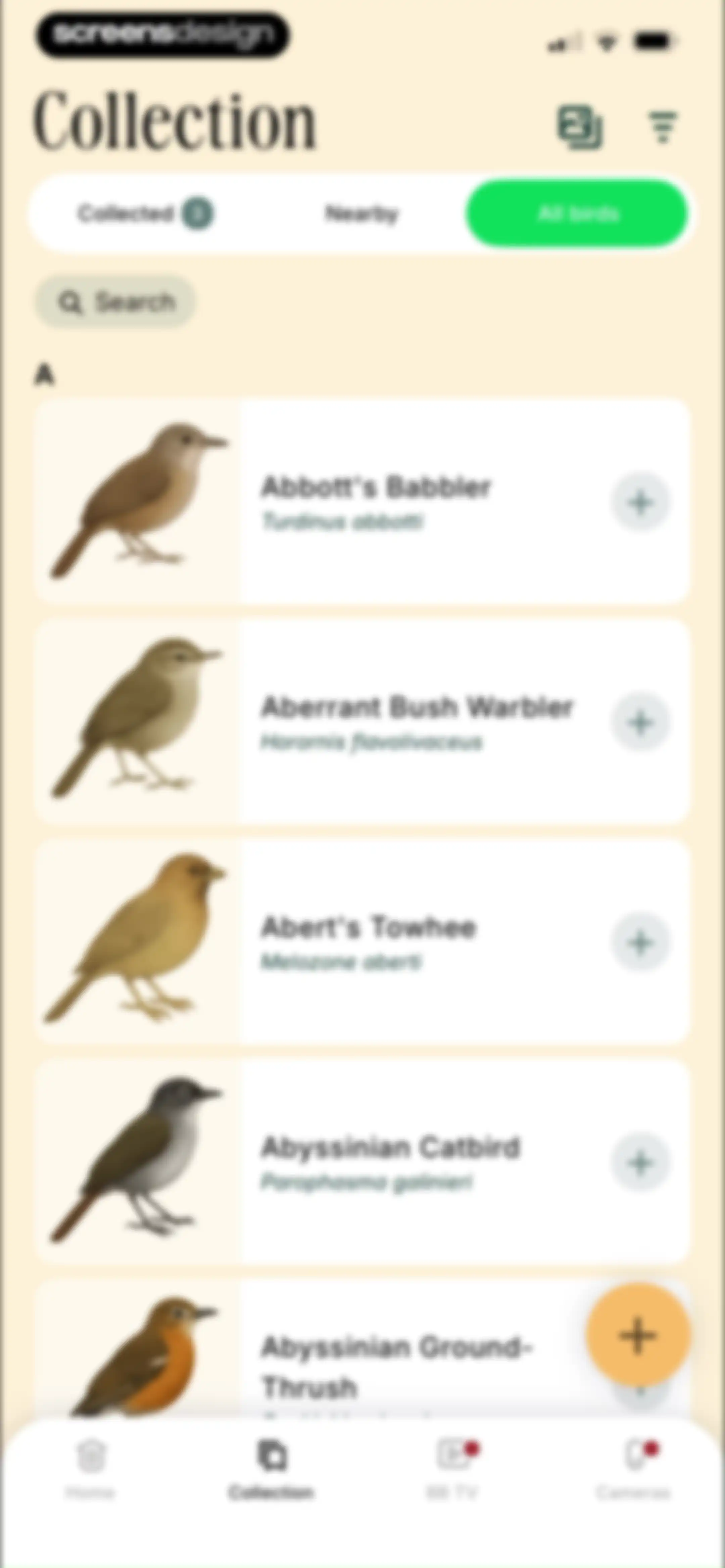 Birdbuddy: ID & Collect Birds screen 85