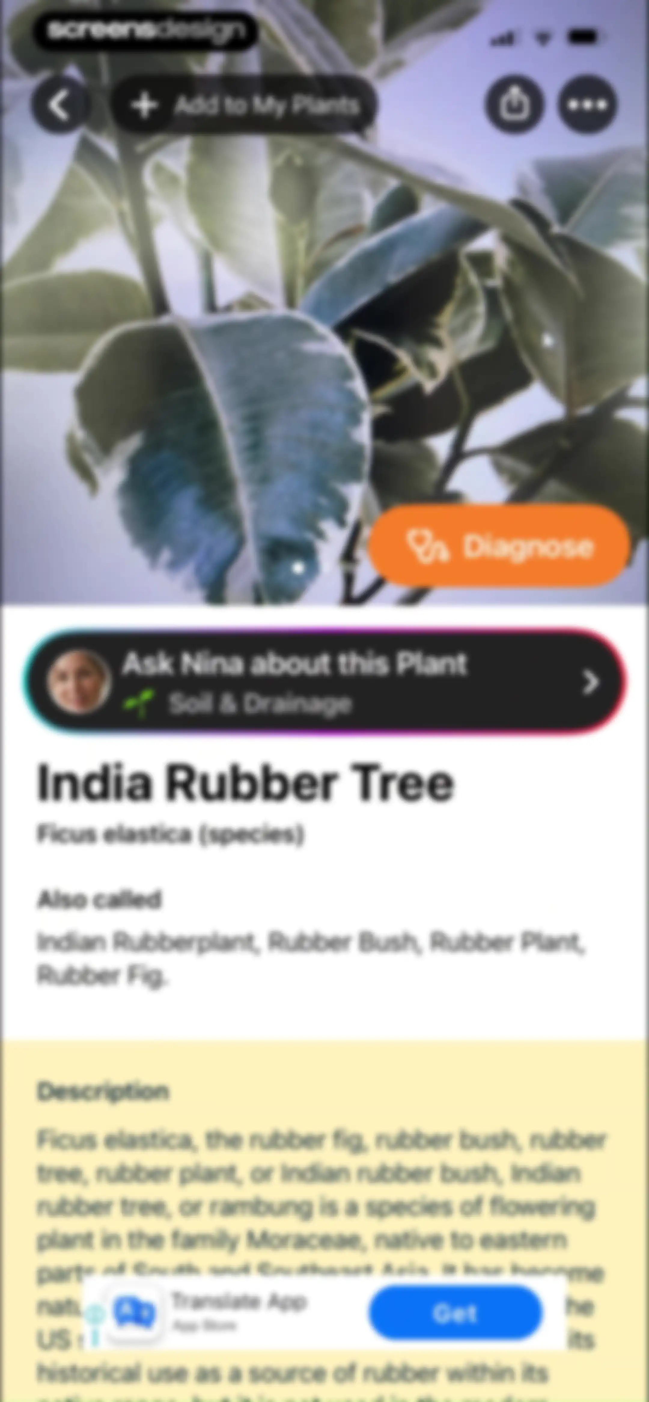 Free Plant Identifier screen 14