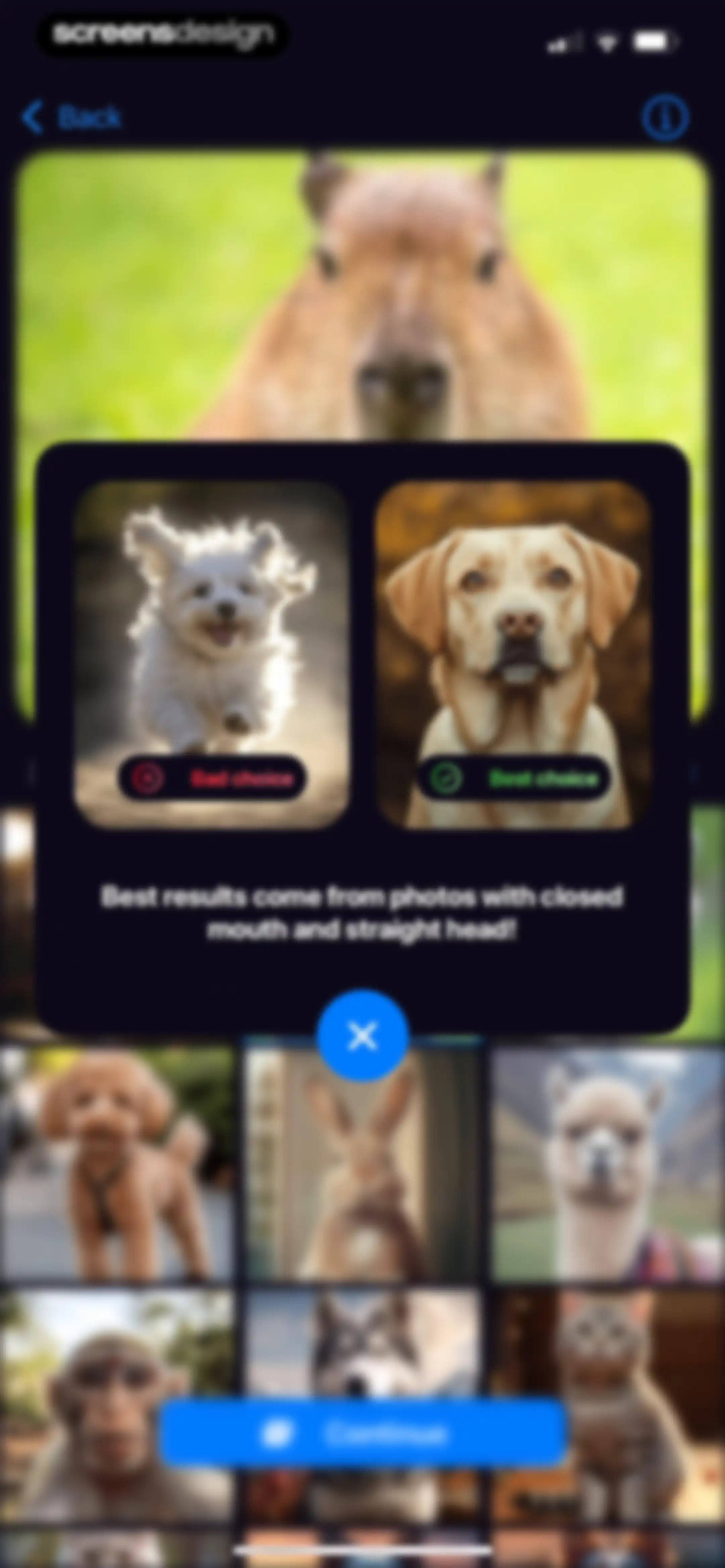 Talking Pet AI: Cat & Dog Talk screen 9