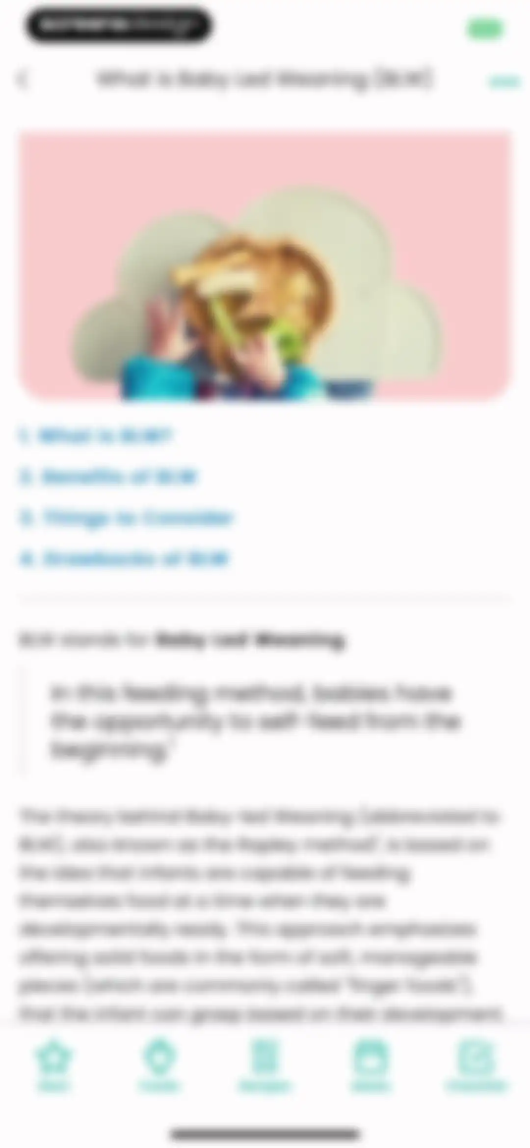 BLW Meals: Starting Solids screen 36