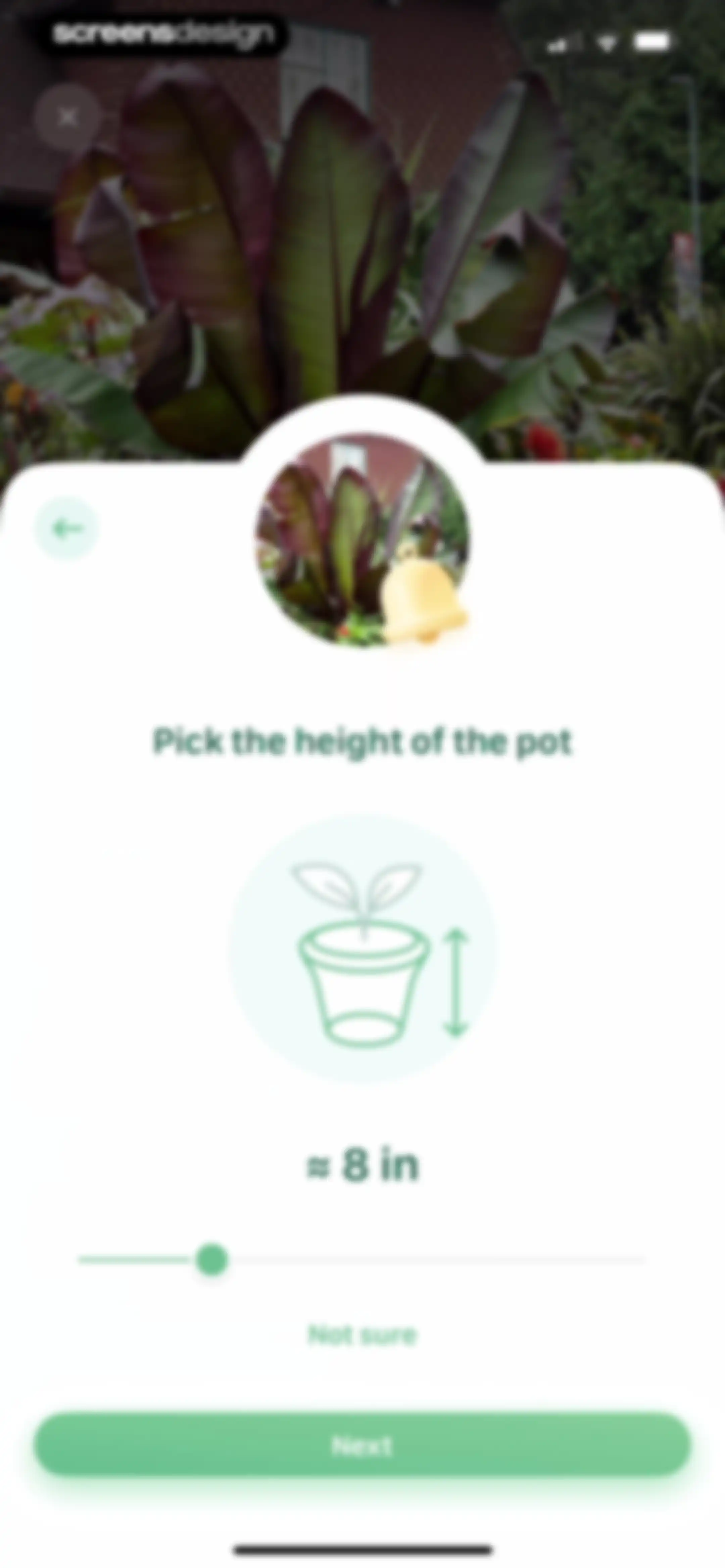 Blossom - Plant Care Guide screen 41