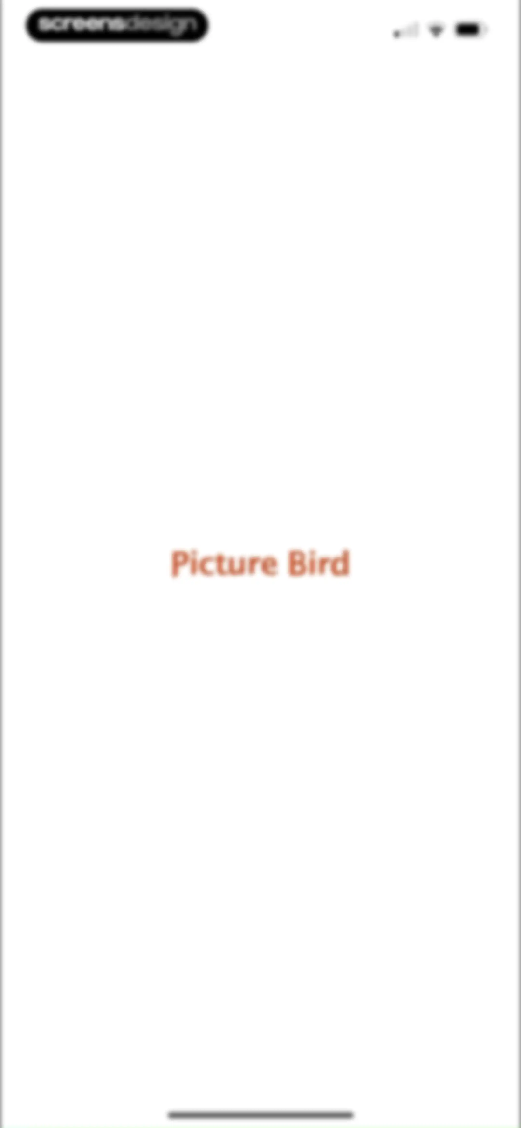 Picture Bird: Bird identifier screen 1