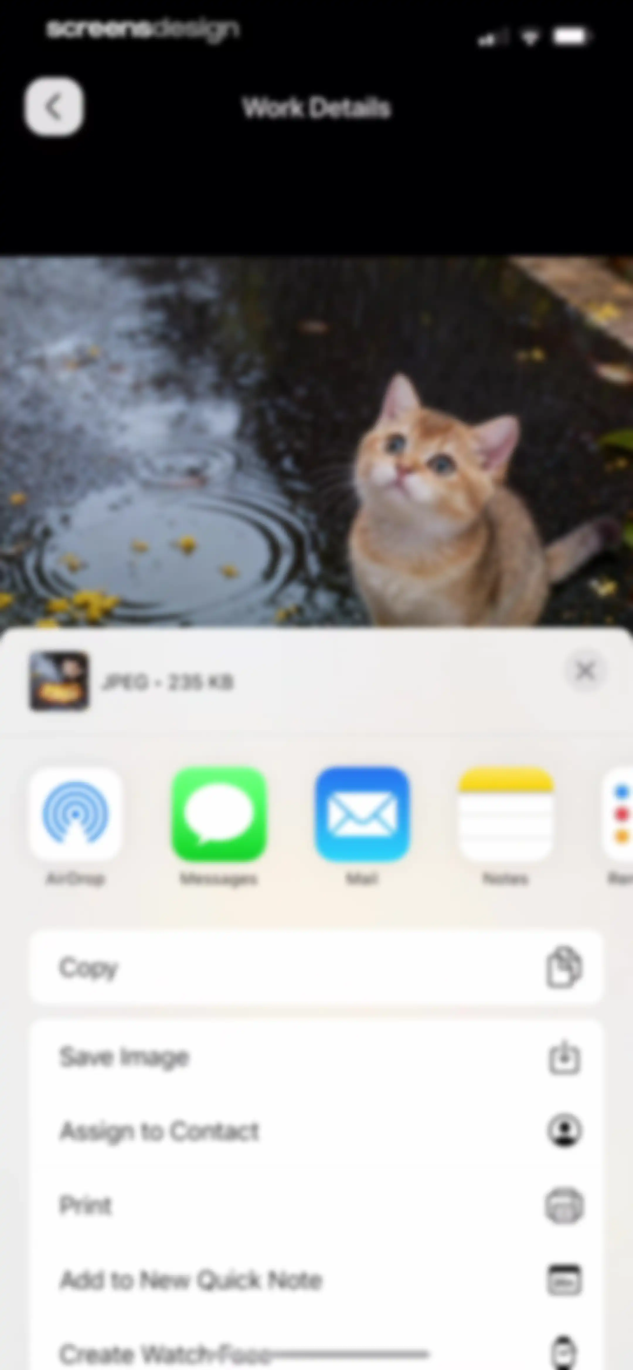PetFun-Pet Talk & Camera screen 36