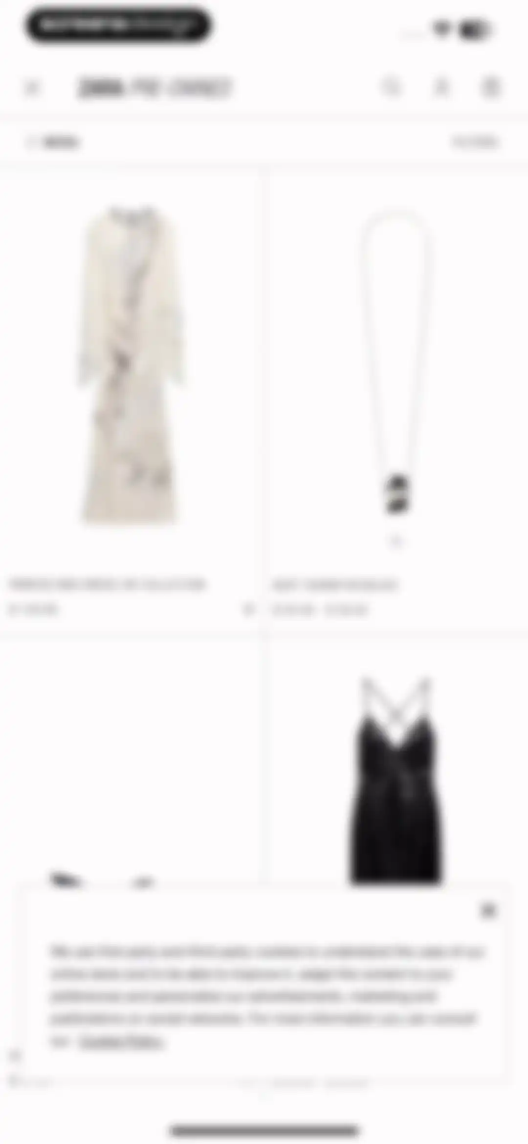ZARA screen 59