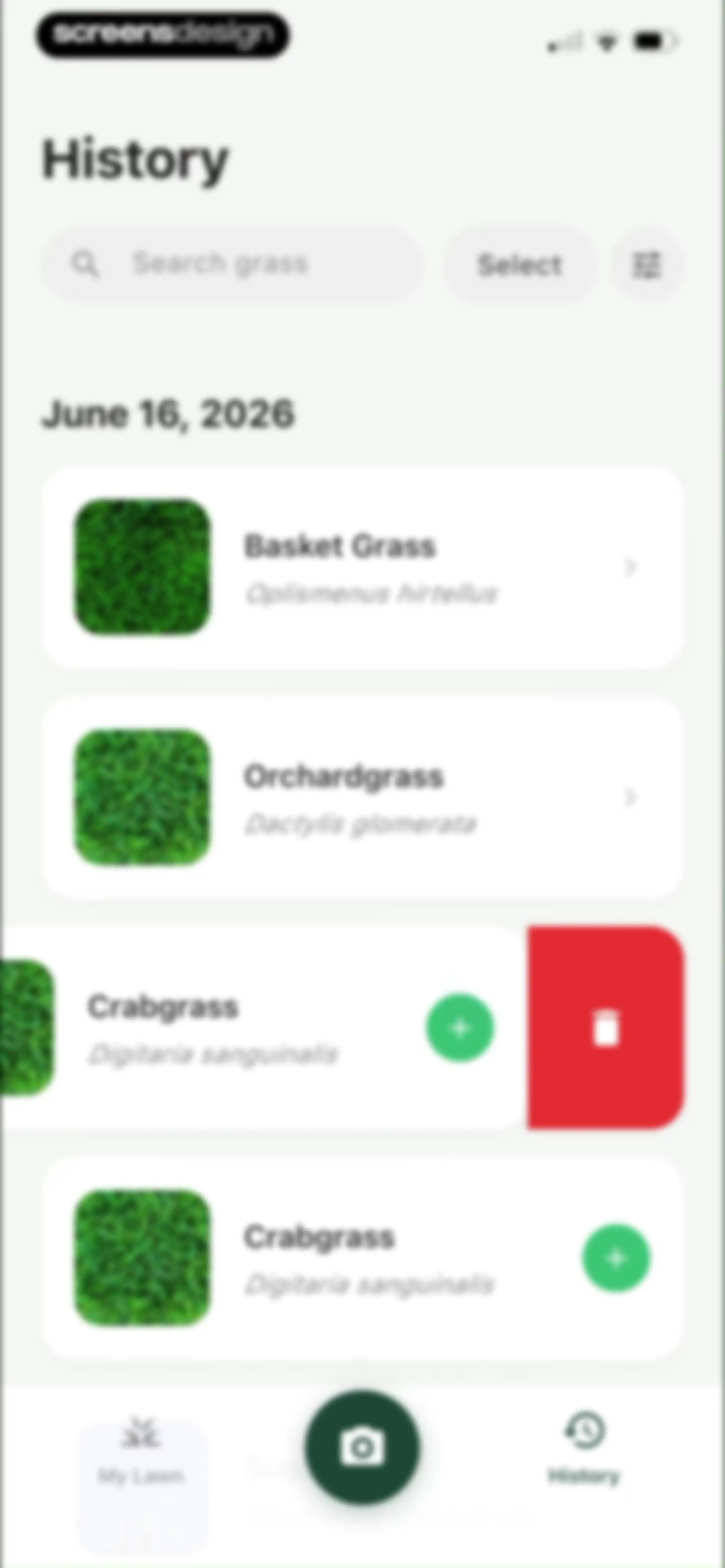 Grass Identifier: AI Scan screen 51
