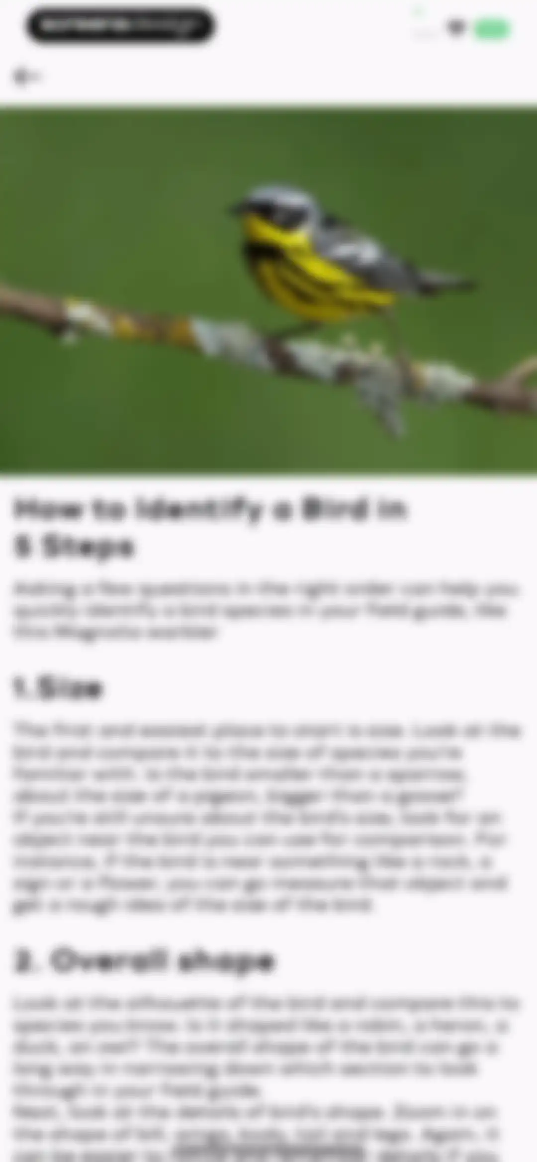 Bird Sounds Identifier Call ID screen 31
