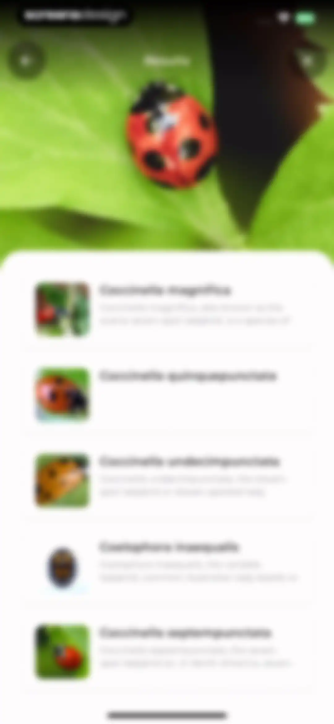 Plant Identifier: LeafSnap screen 73