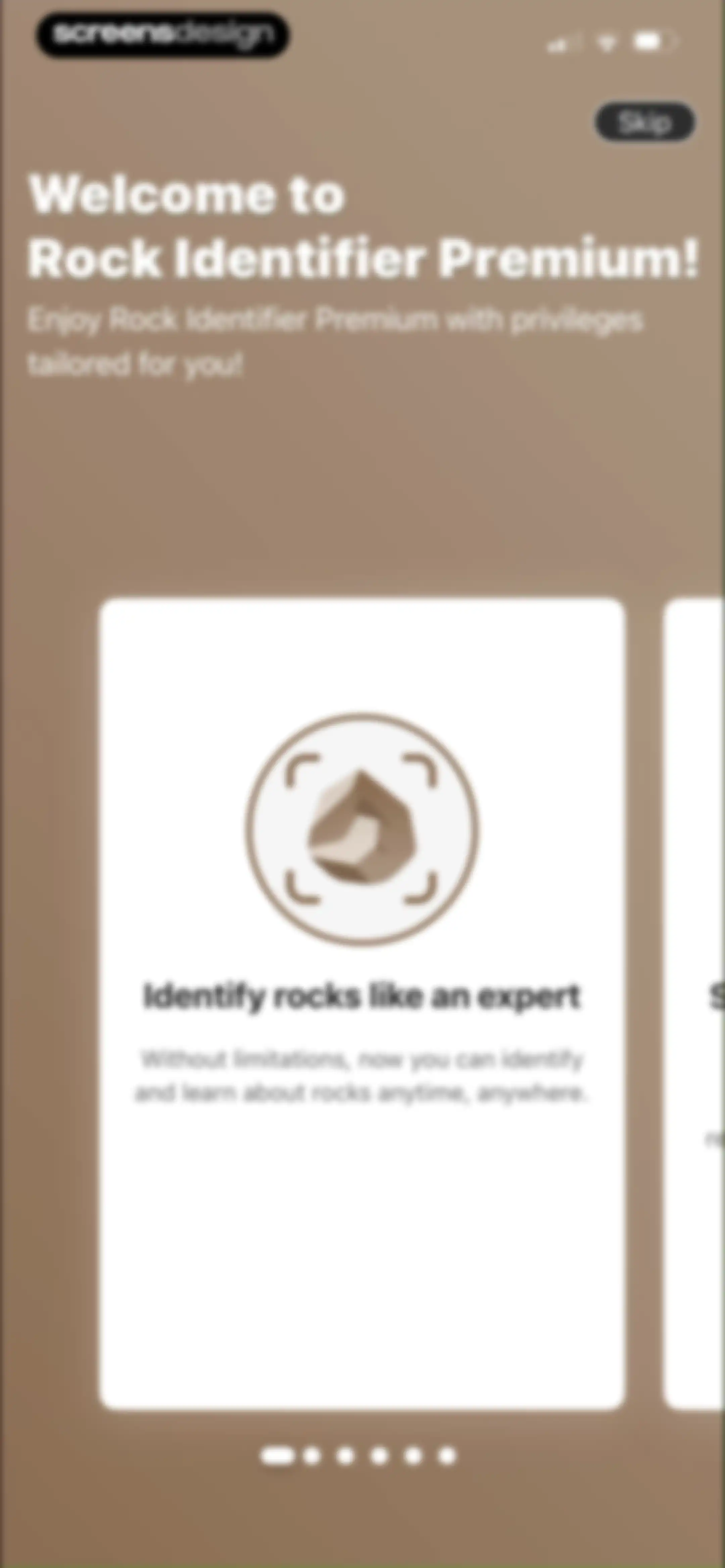 Rock Identifier: Stone ID screen 17