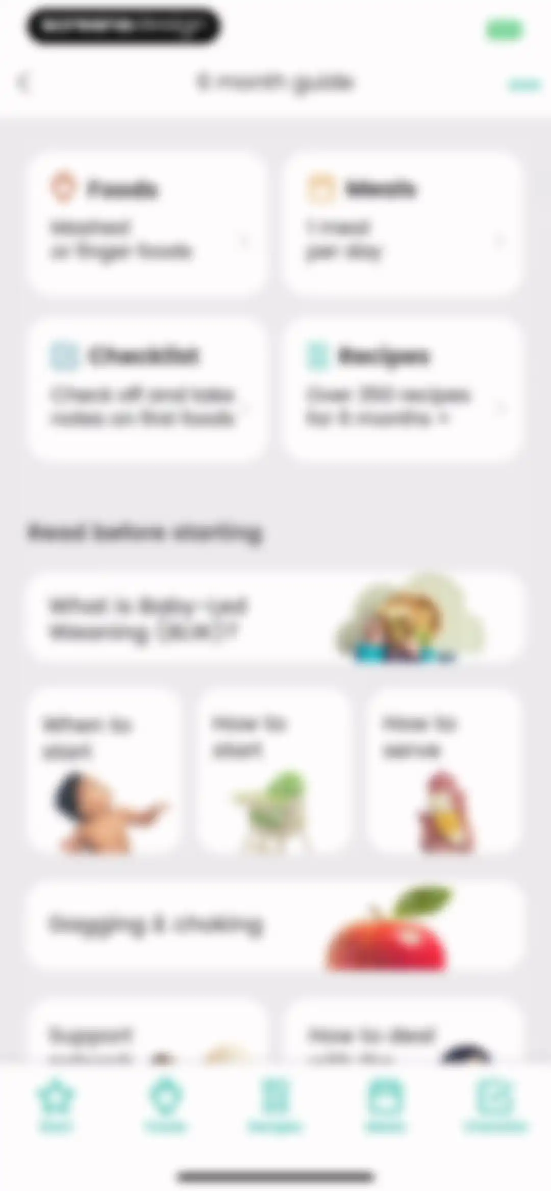 BLW Meals: Starting Solids screen 33