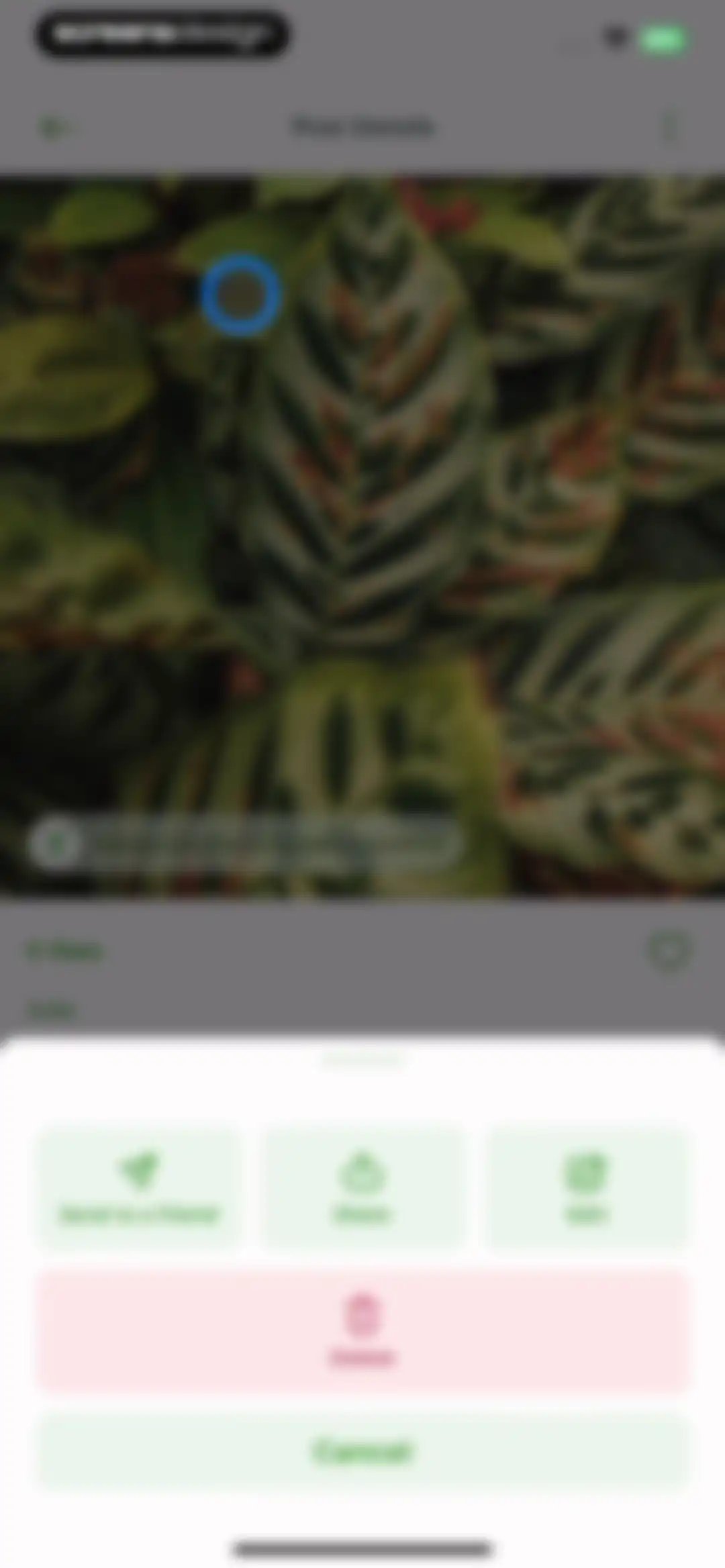 PlantSnap - Plant Scanner screen 82