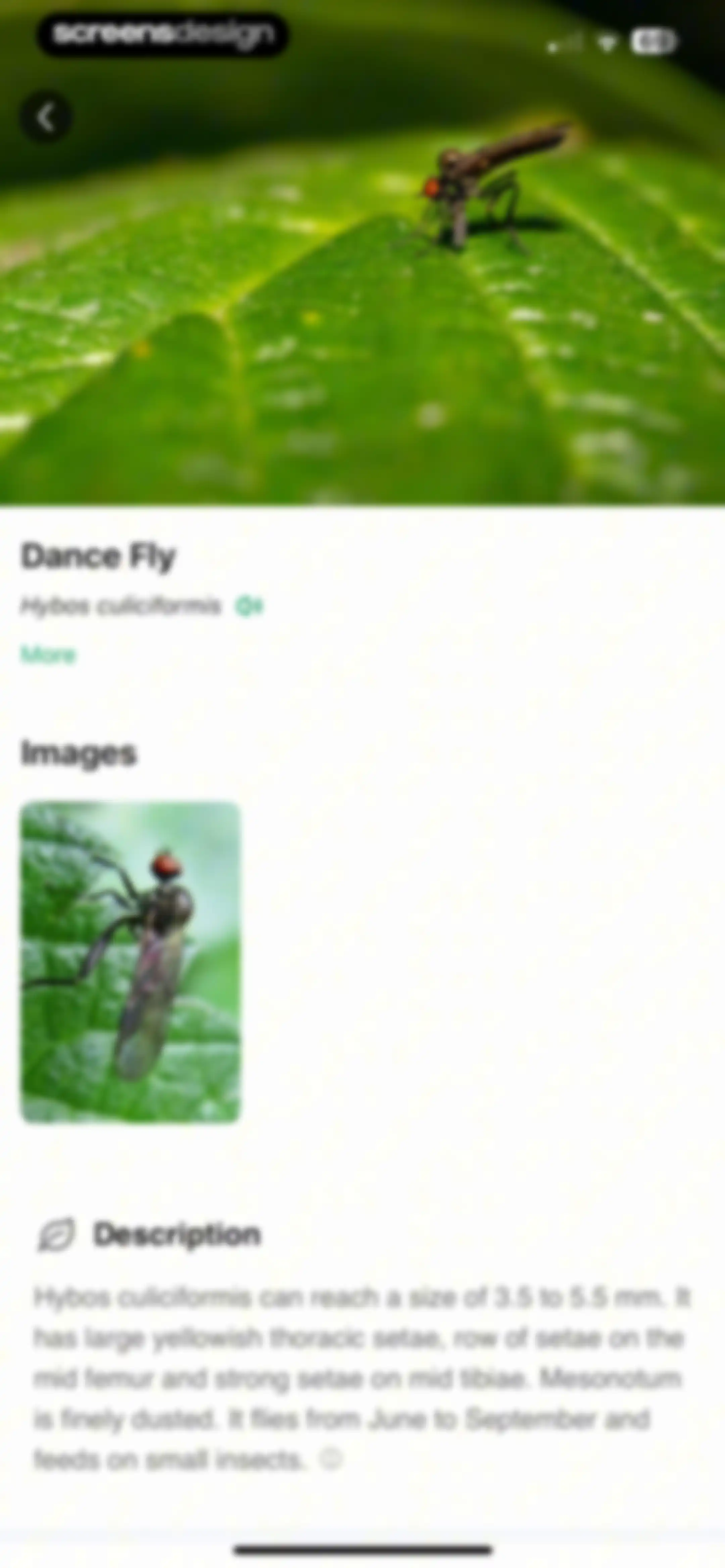 PictureThis - Plant Identifier screen 210
