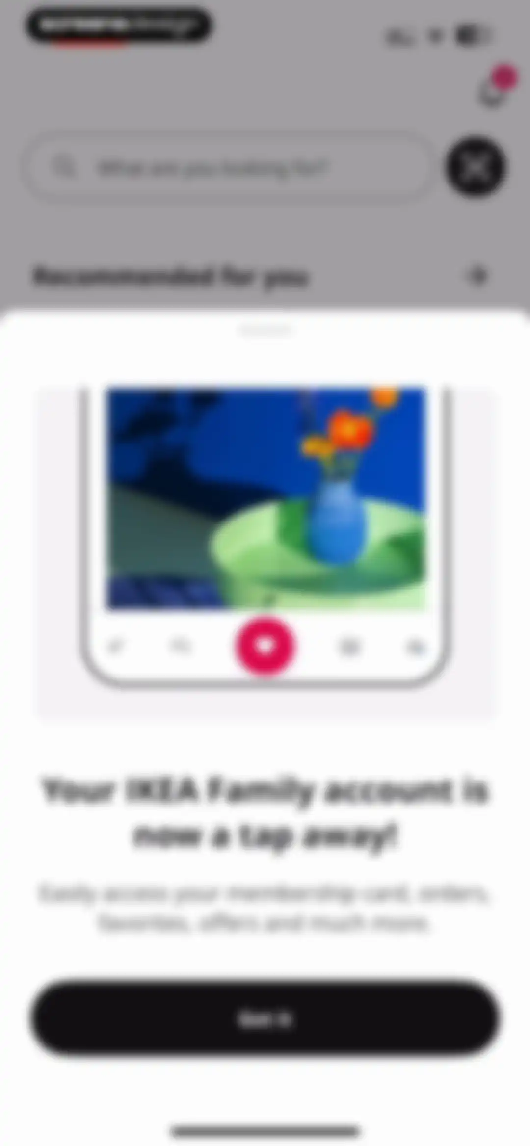IKEA screen 20