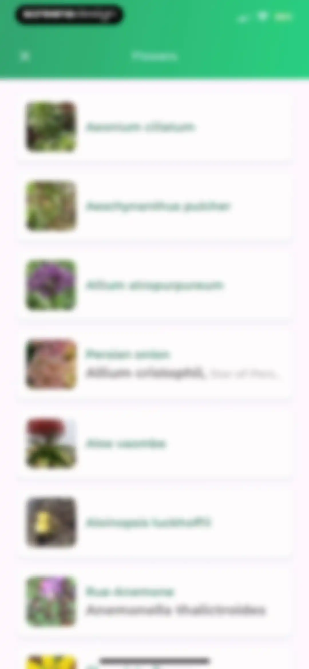 Plant Identifier: LeafSnap screen 20